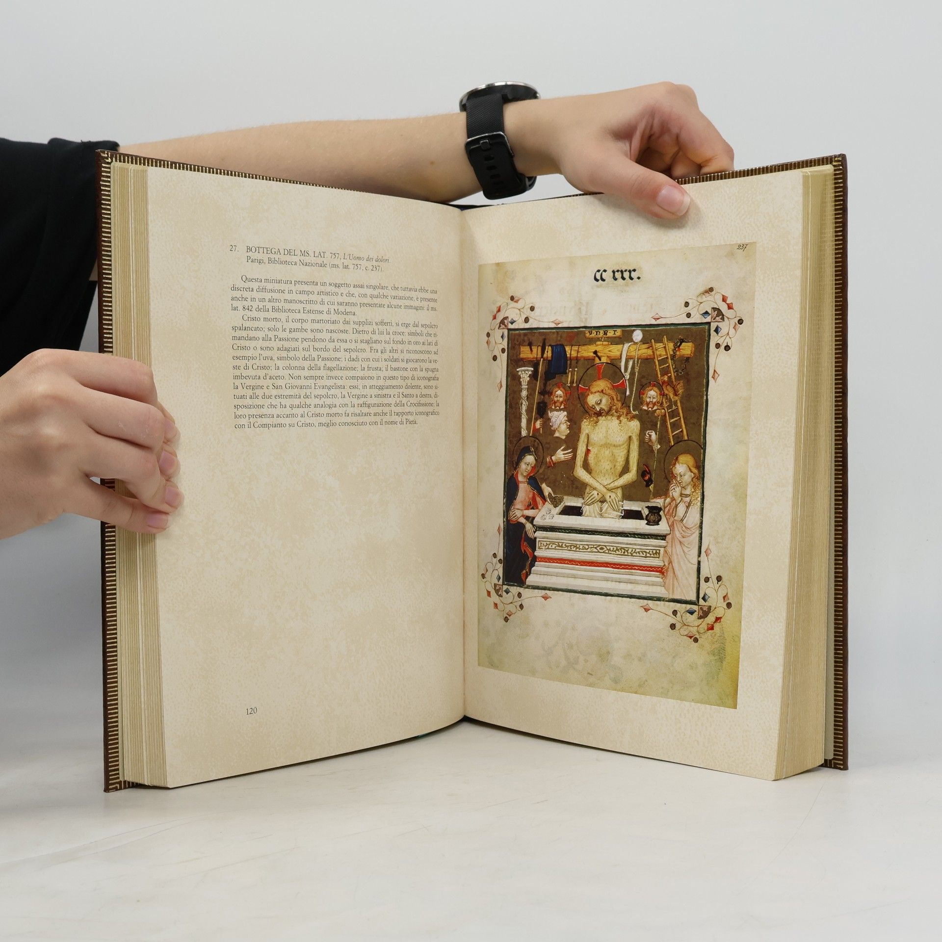 Luisa Cogliati Arano Maria ieri e oggi: 100 capolavori della miniatura gotica dei secoli XIV-XV