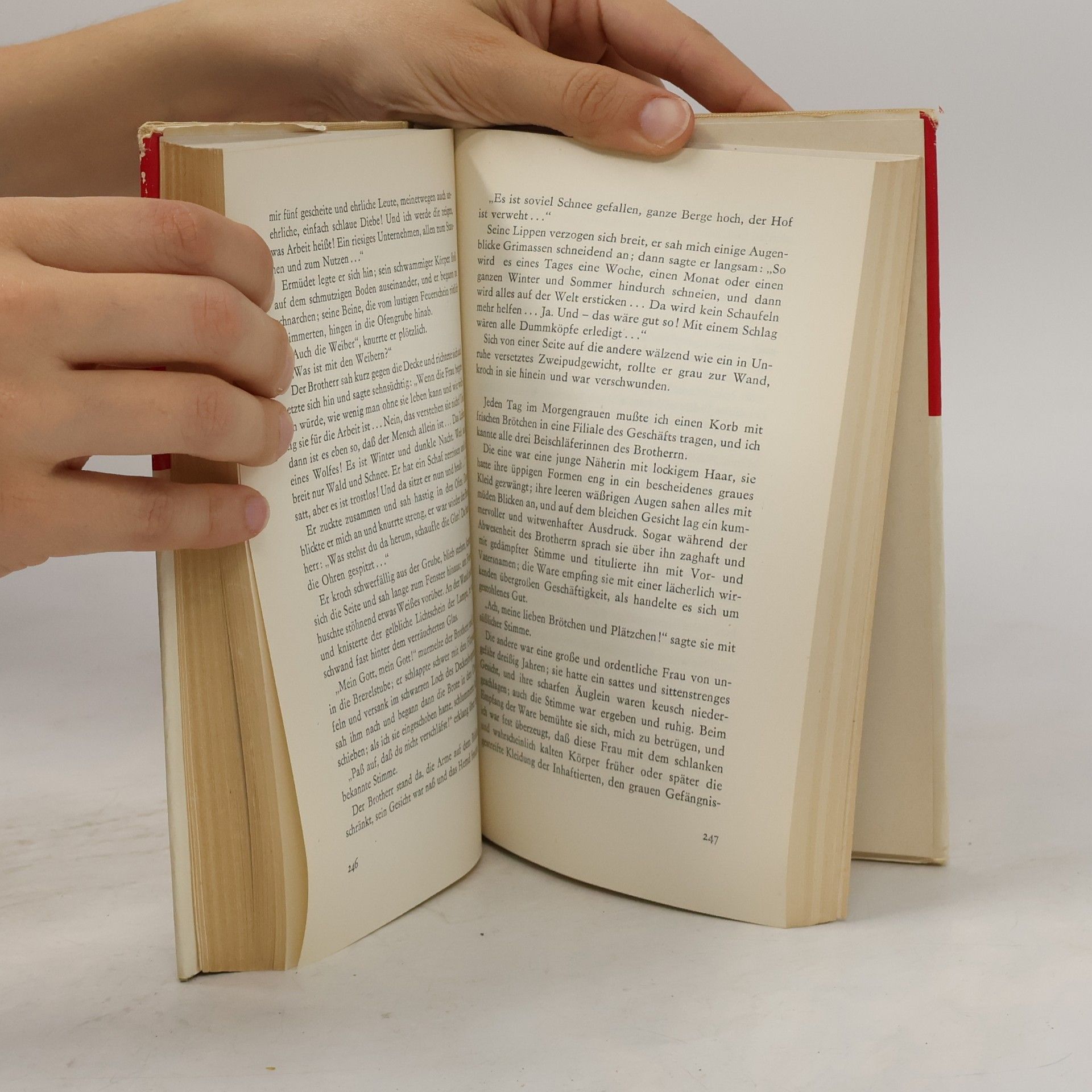 Autores varios Meine Kindheit