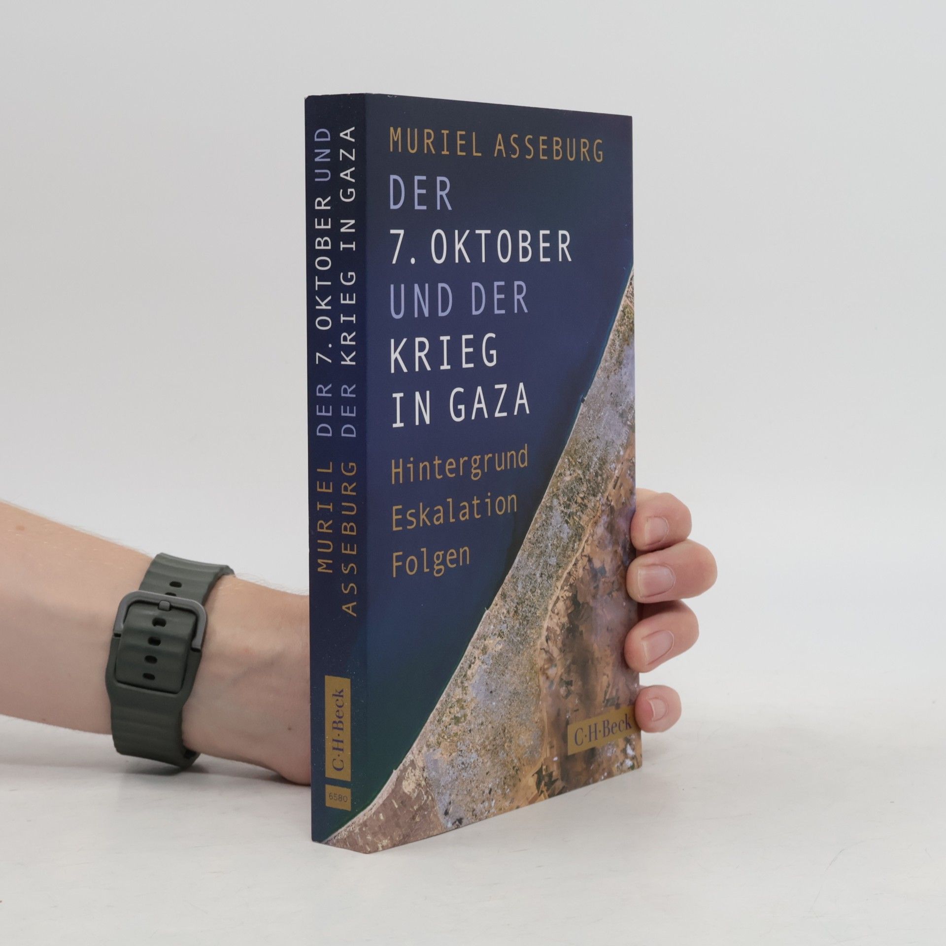 Muriel Asseburg Der 7. Oktober und der Krieg in Gaza