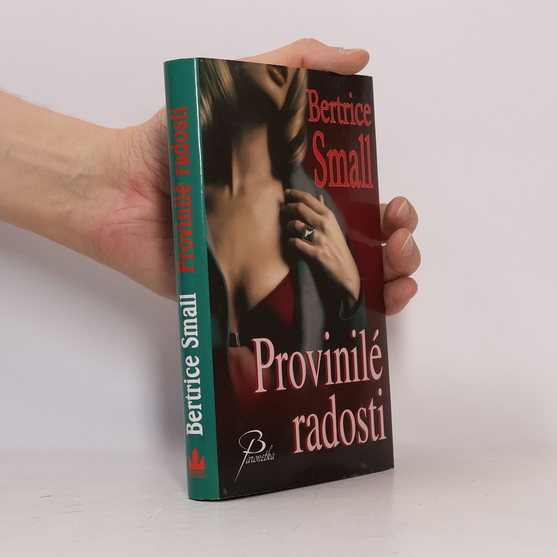 Bertrice Small Provinilé radosti