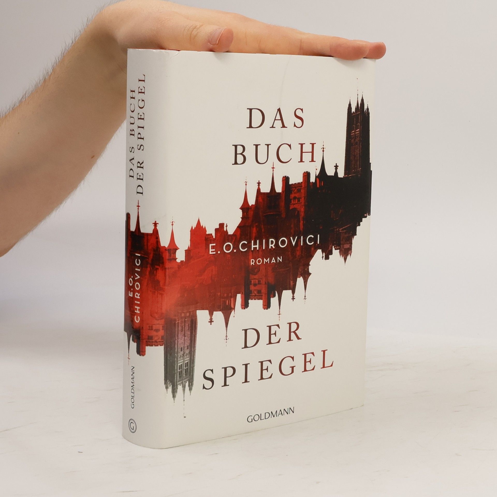 Eugen Ovidiu Chirovici Das Buch der Spiegel