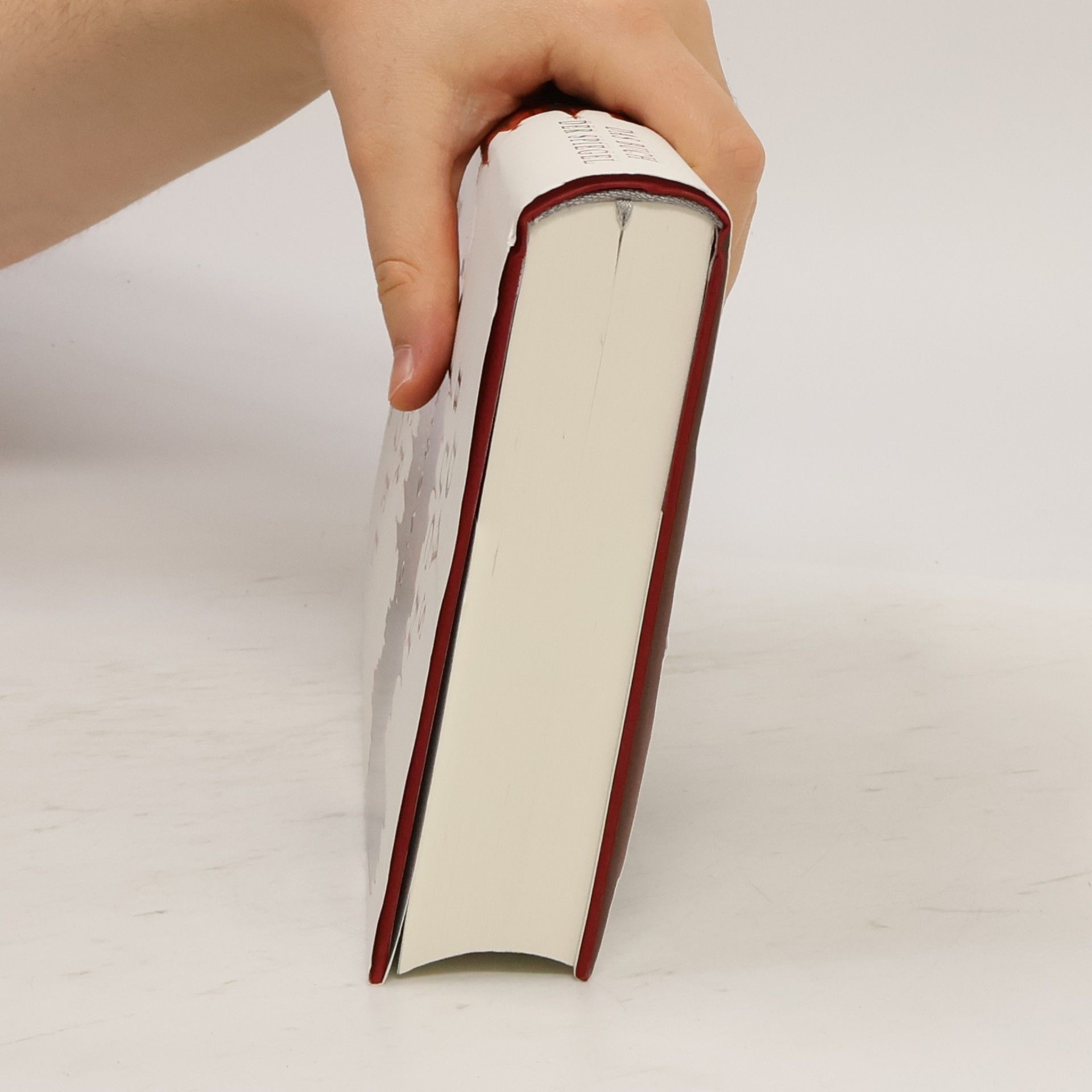 Eugen Ovidiu Chirovici Das Buch der Spiegel