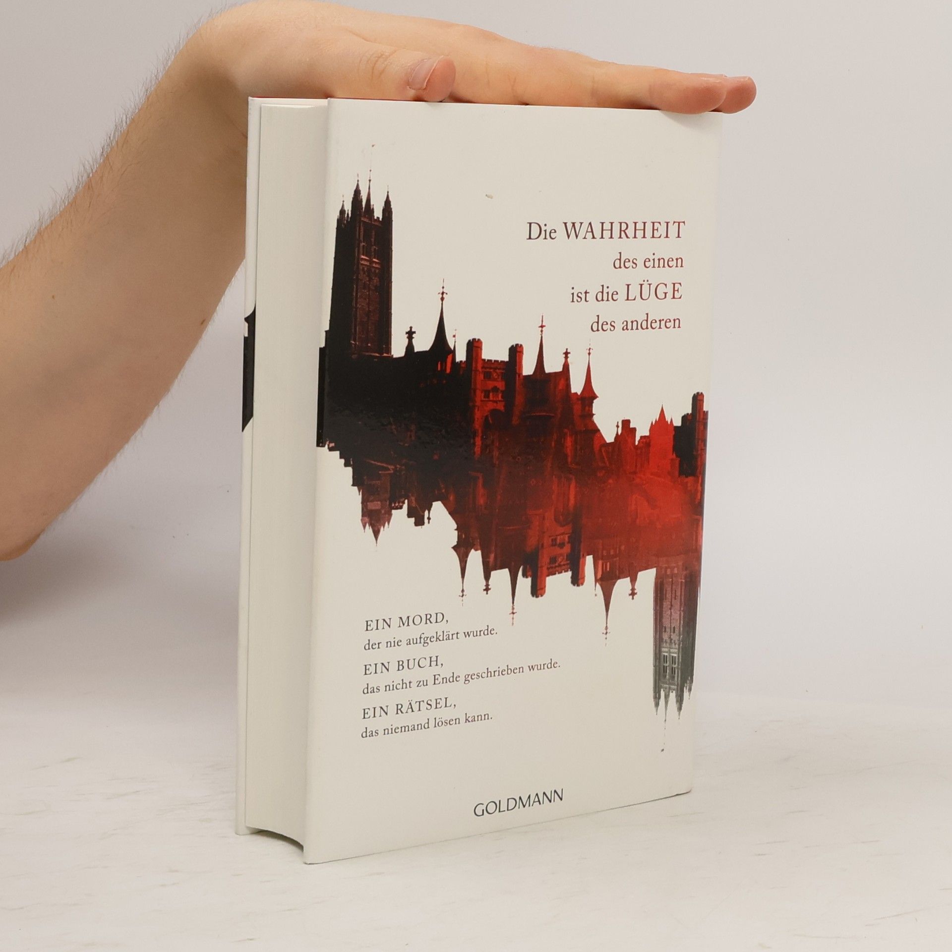 Eugen Ovidiu Chirovici Das Buch der Spiegel