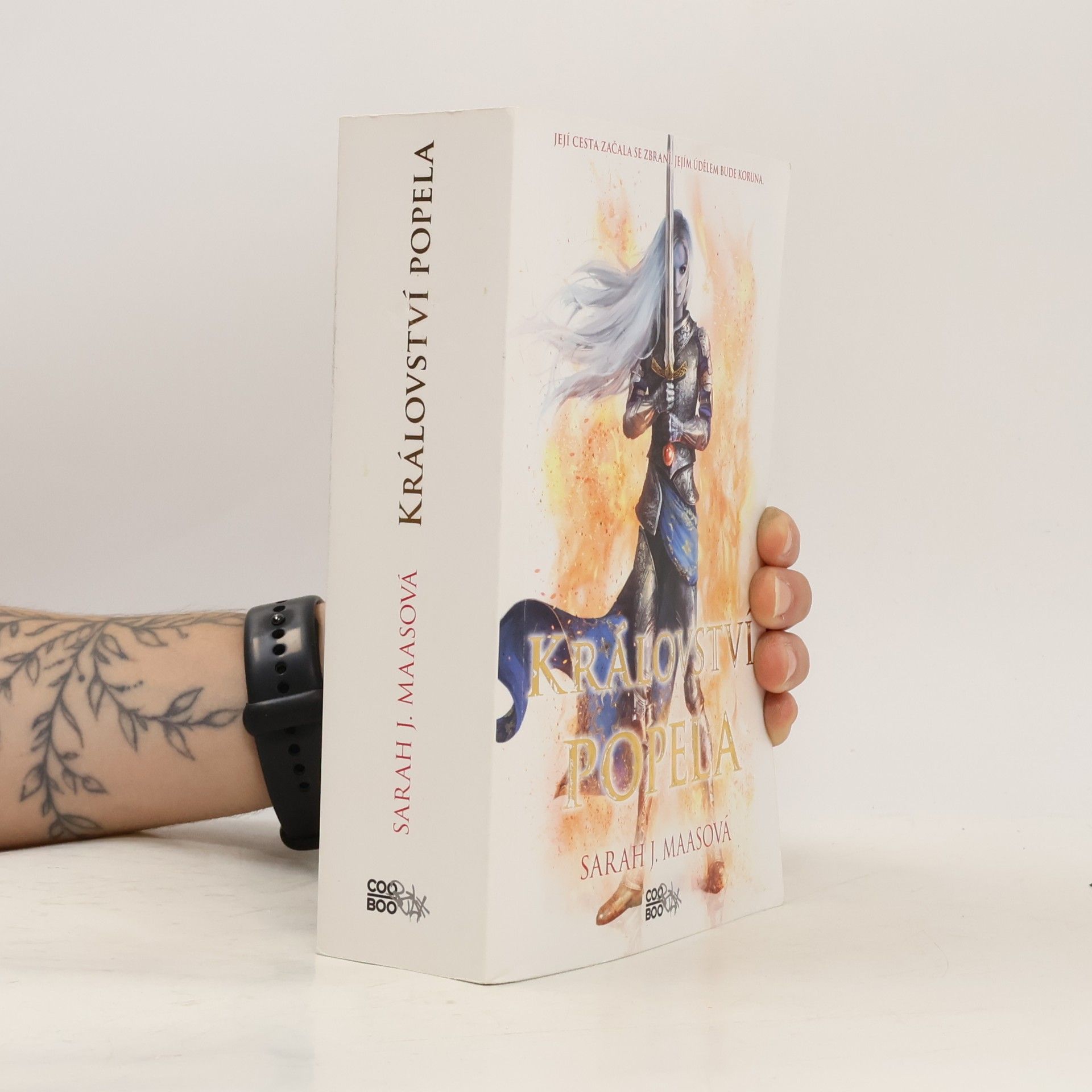 Sarah J. Maas Království popela