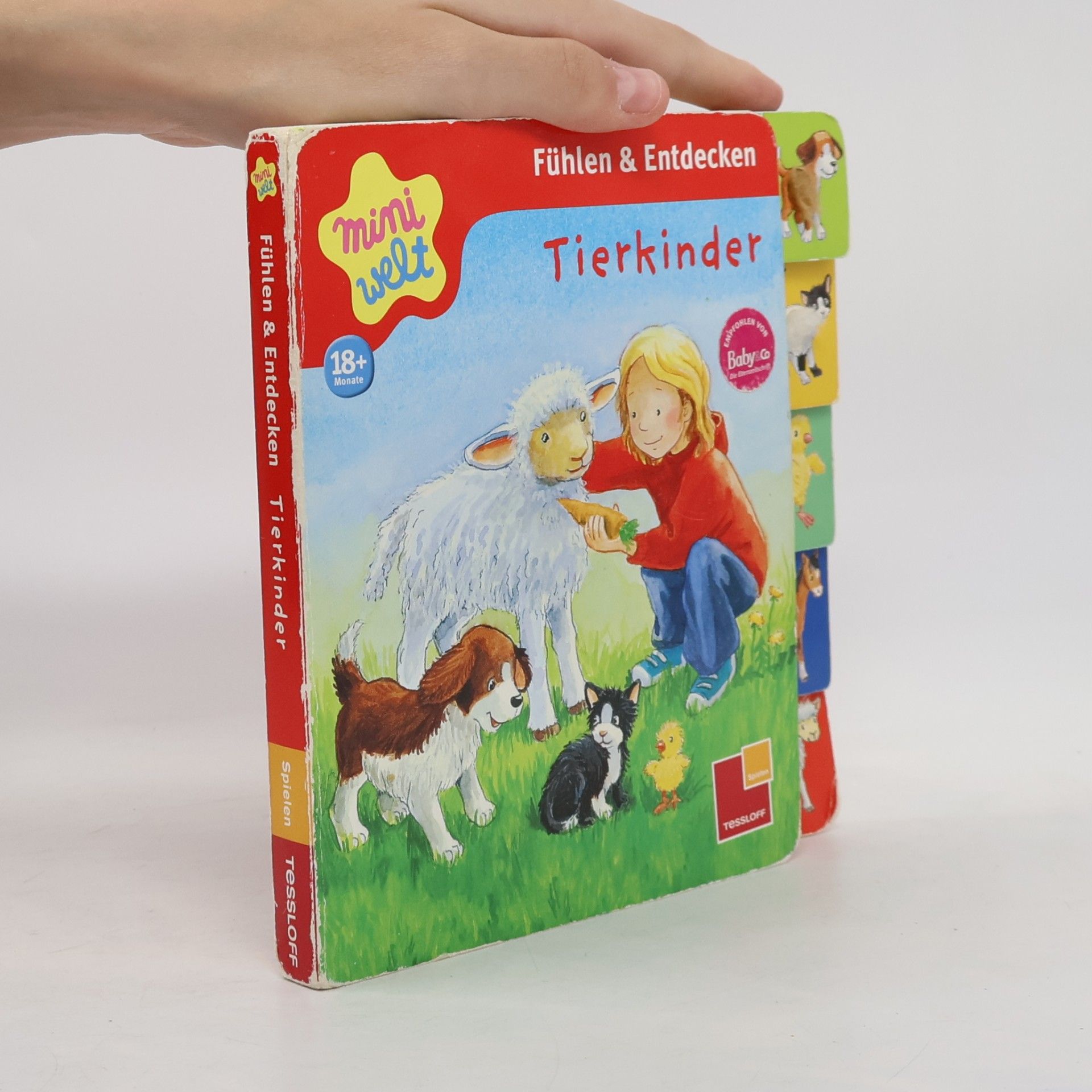 Antje Flad Fühlen & Entdecken: Tierkinder - 18+ Monate