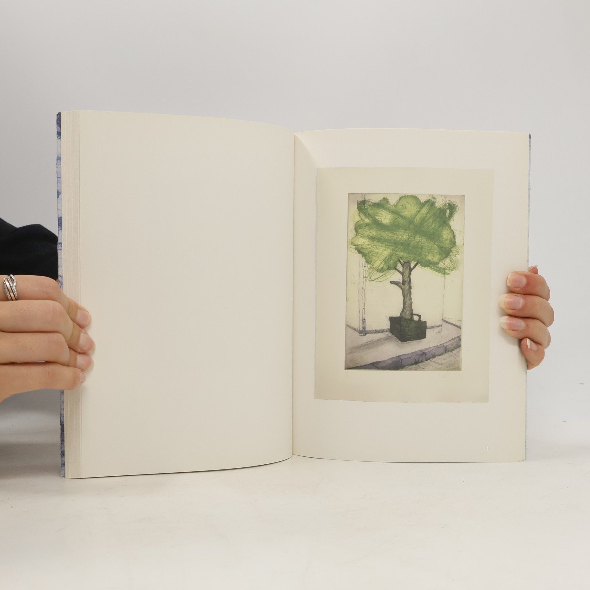 kolektiv Martin Gredler. Die Vergrämung der Kormorane