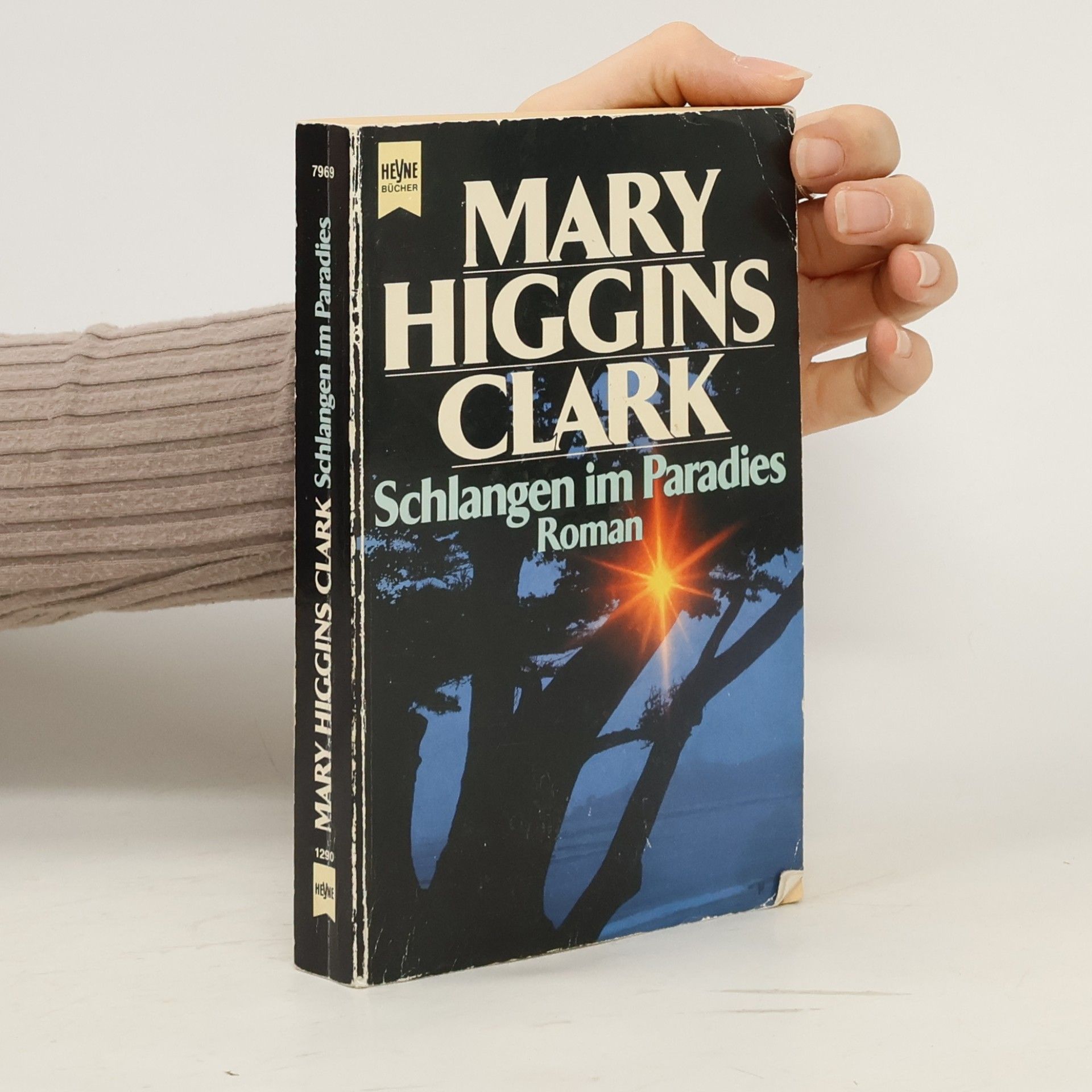 Mary Higgins Clark Schlangen im Paradies