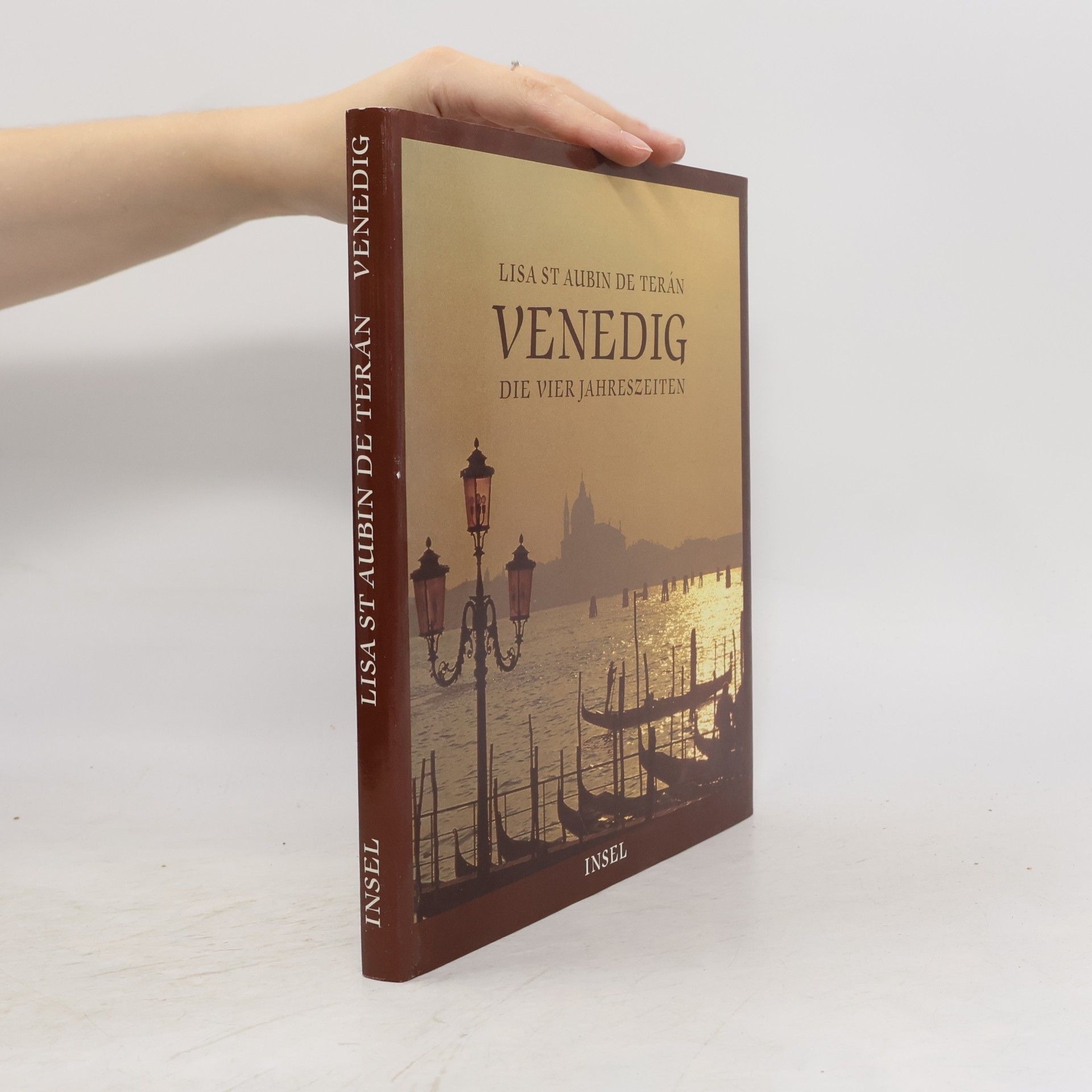 Lisa St Aubin de Terán Venedig