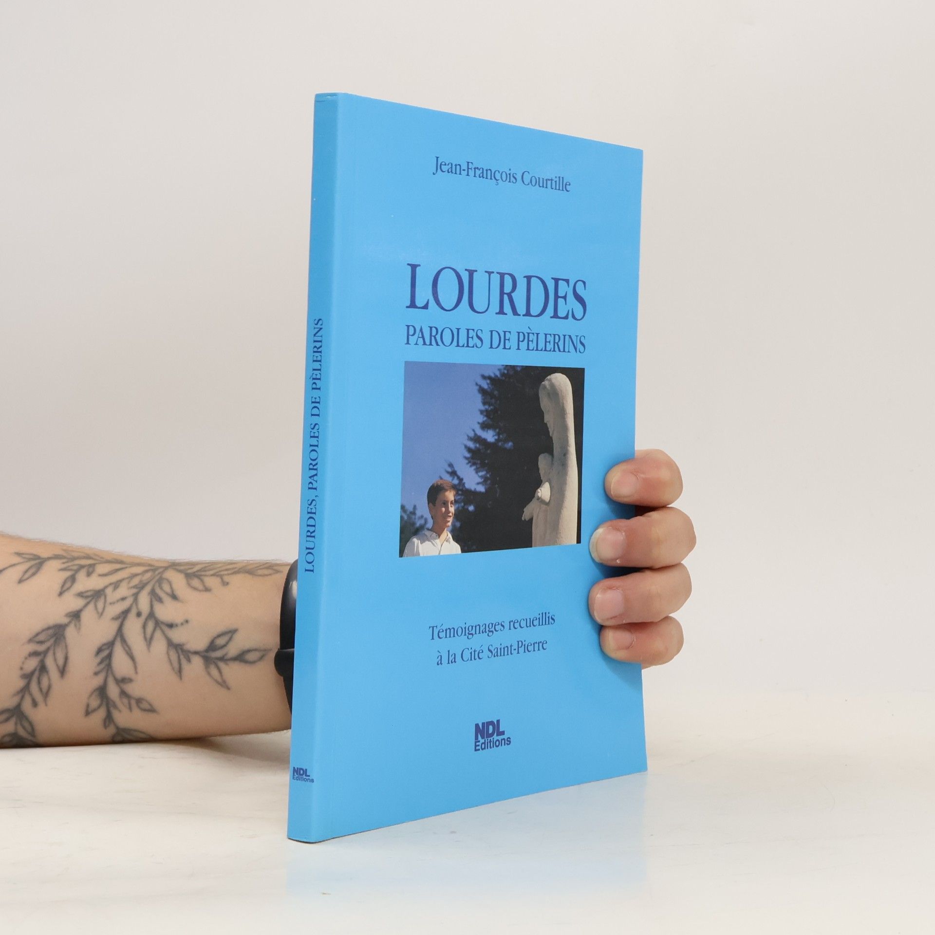 Jean-François Courtille Lourdes : Paroles de pèlerins