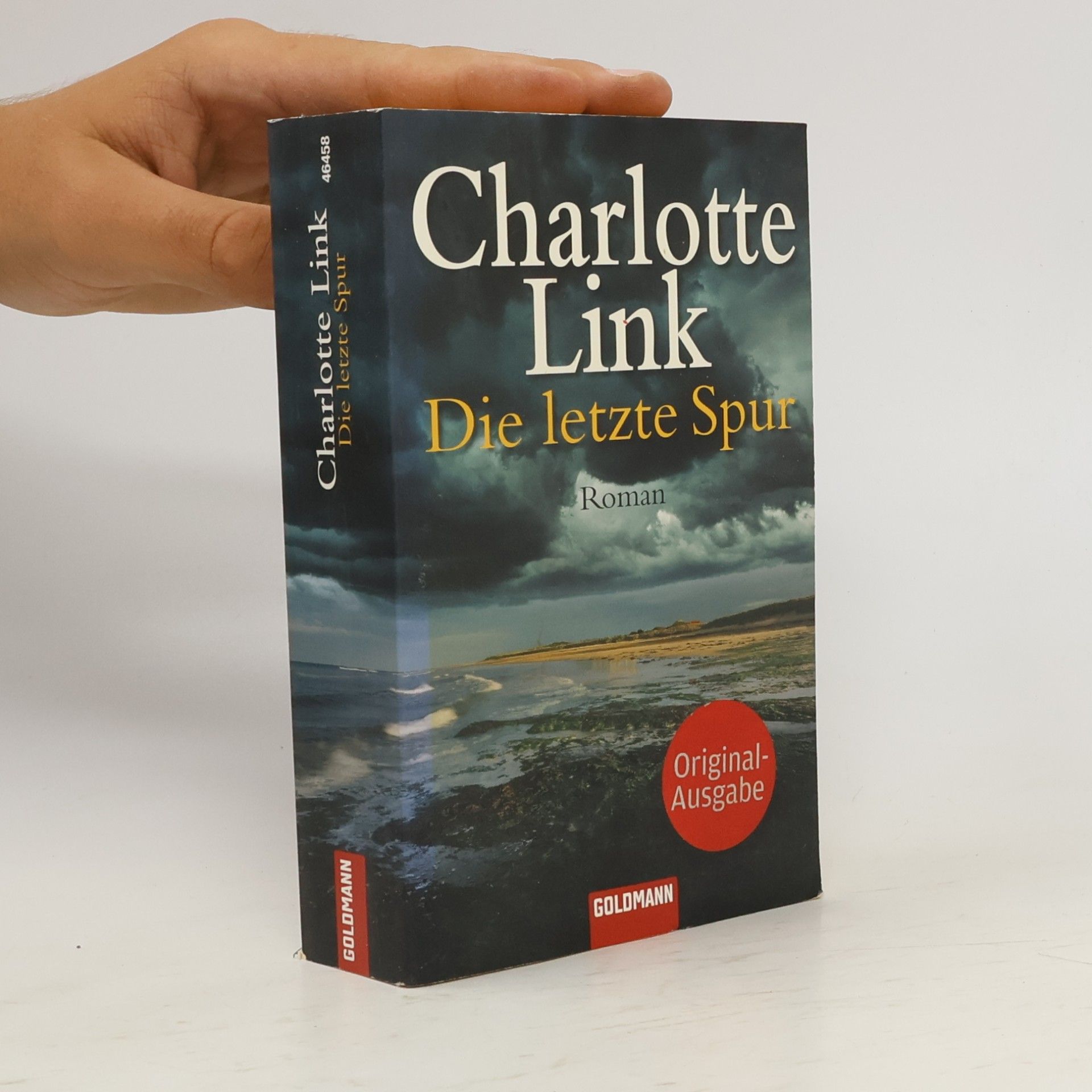 Charlotte Link Die letzte Spur