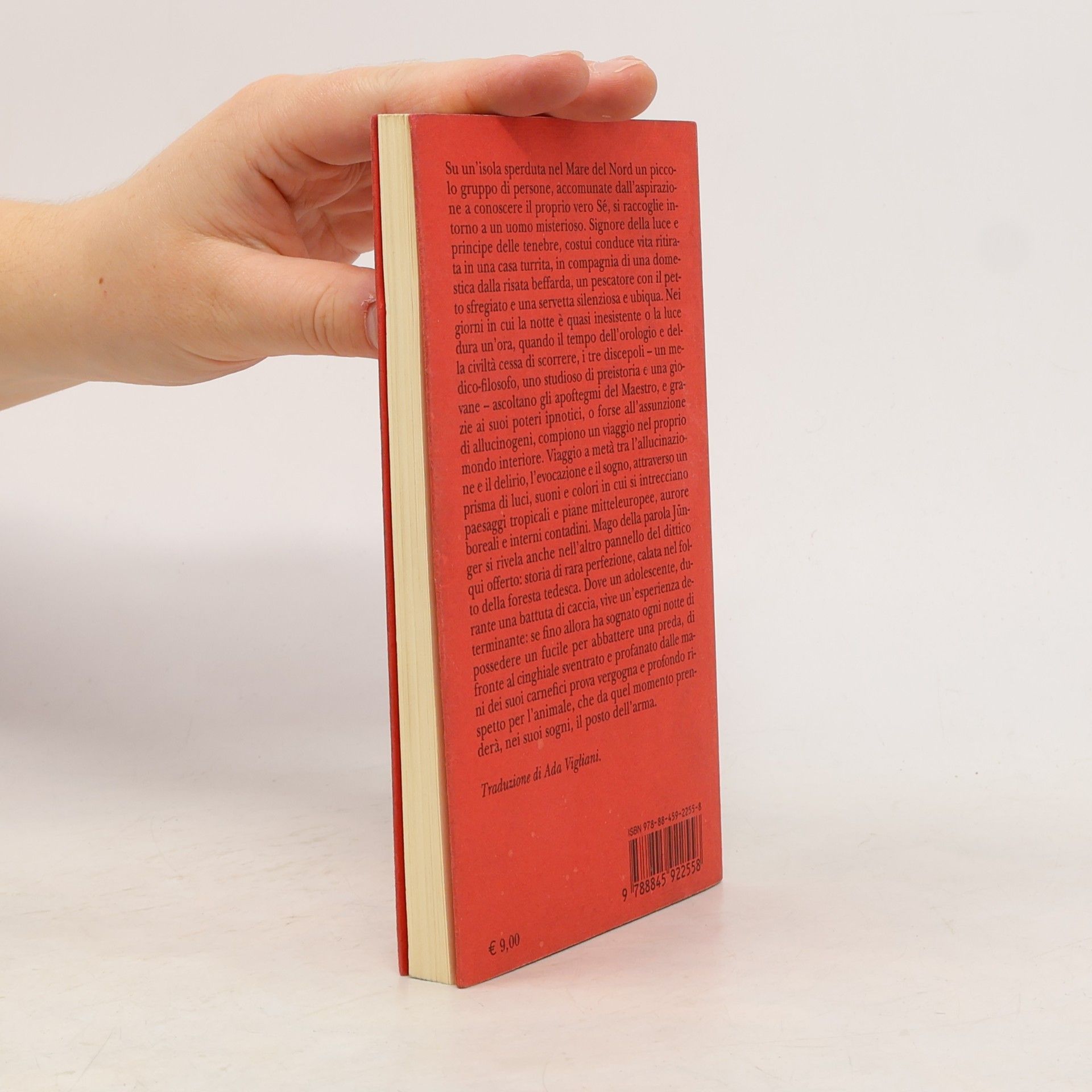 Ada Vigliani Piccola Biblioteca - 568: Visita a Godenholm