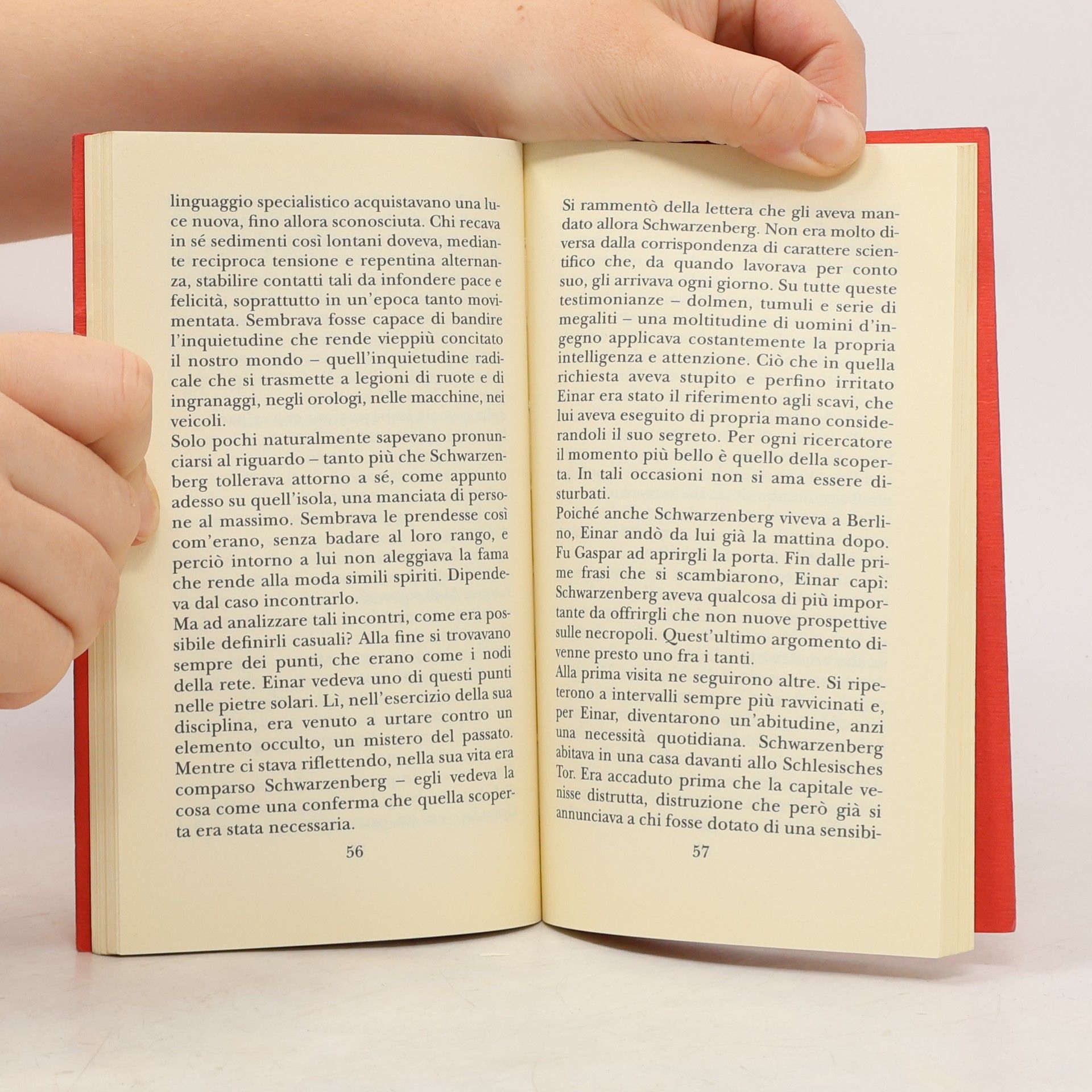Ada Vigliani Piccola Biblioteca - 568: Visita a Godenholm