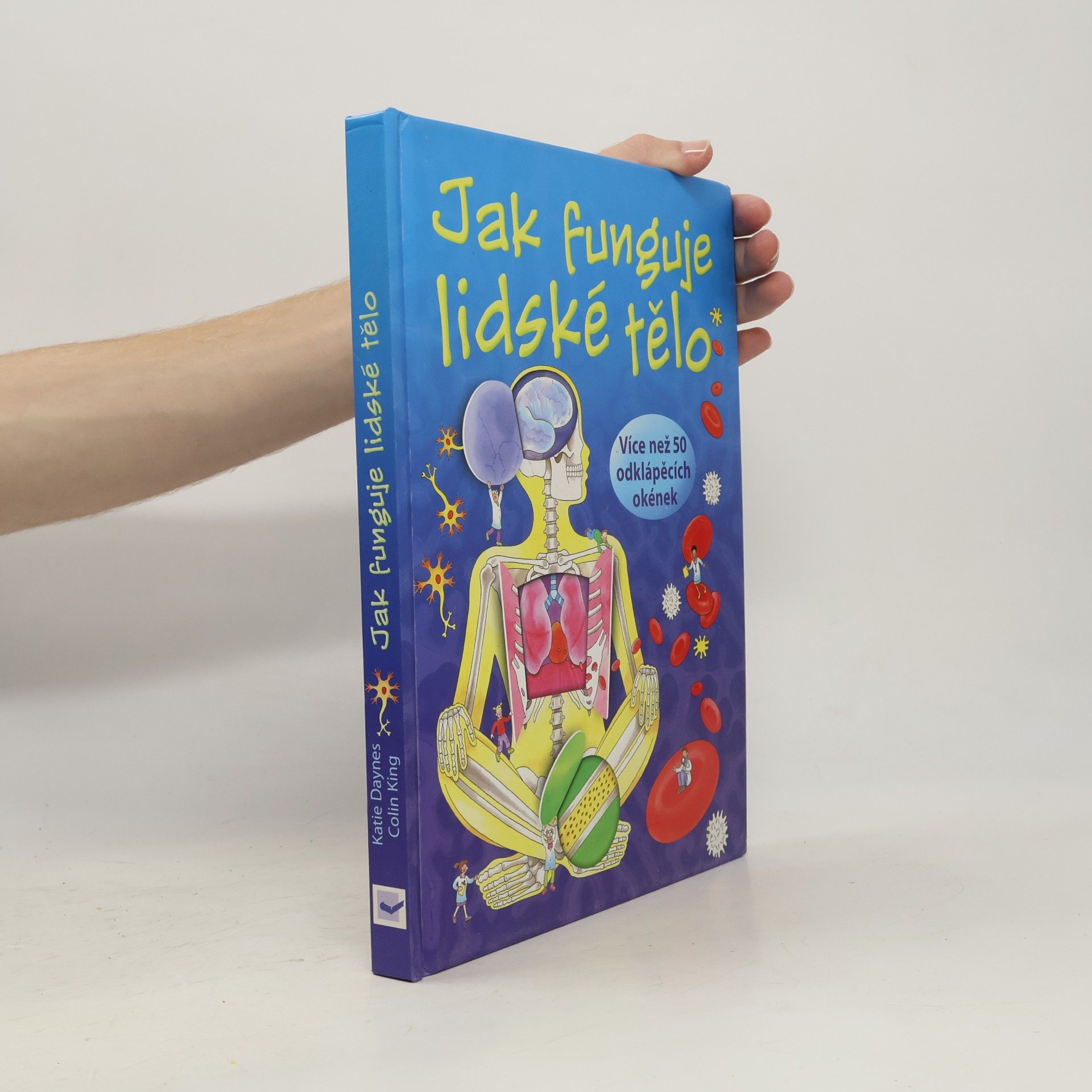 Katie Daynes Jak funguje lidské tělo