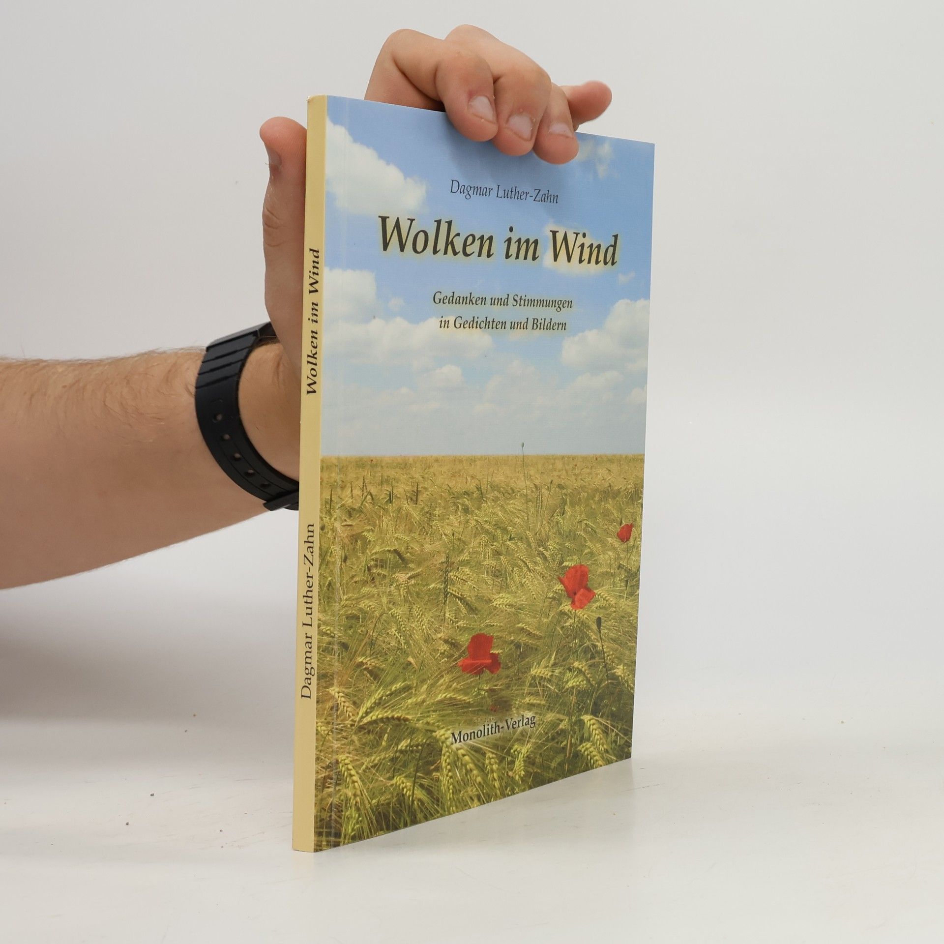 Dagmar Luther-Zahn Wolken im Wind