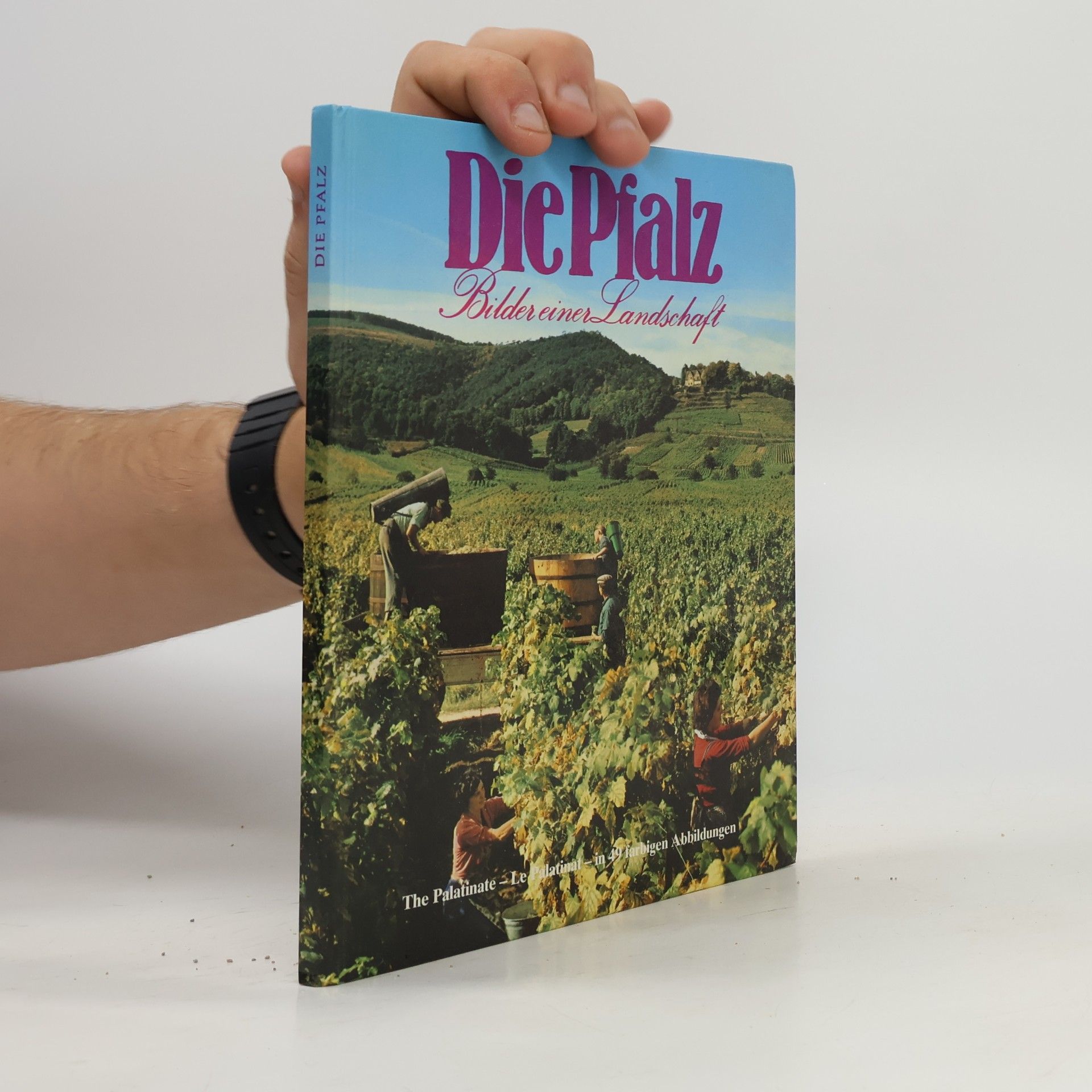 Autorenkollektiv Die Pfalz