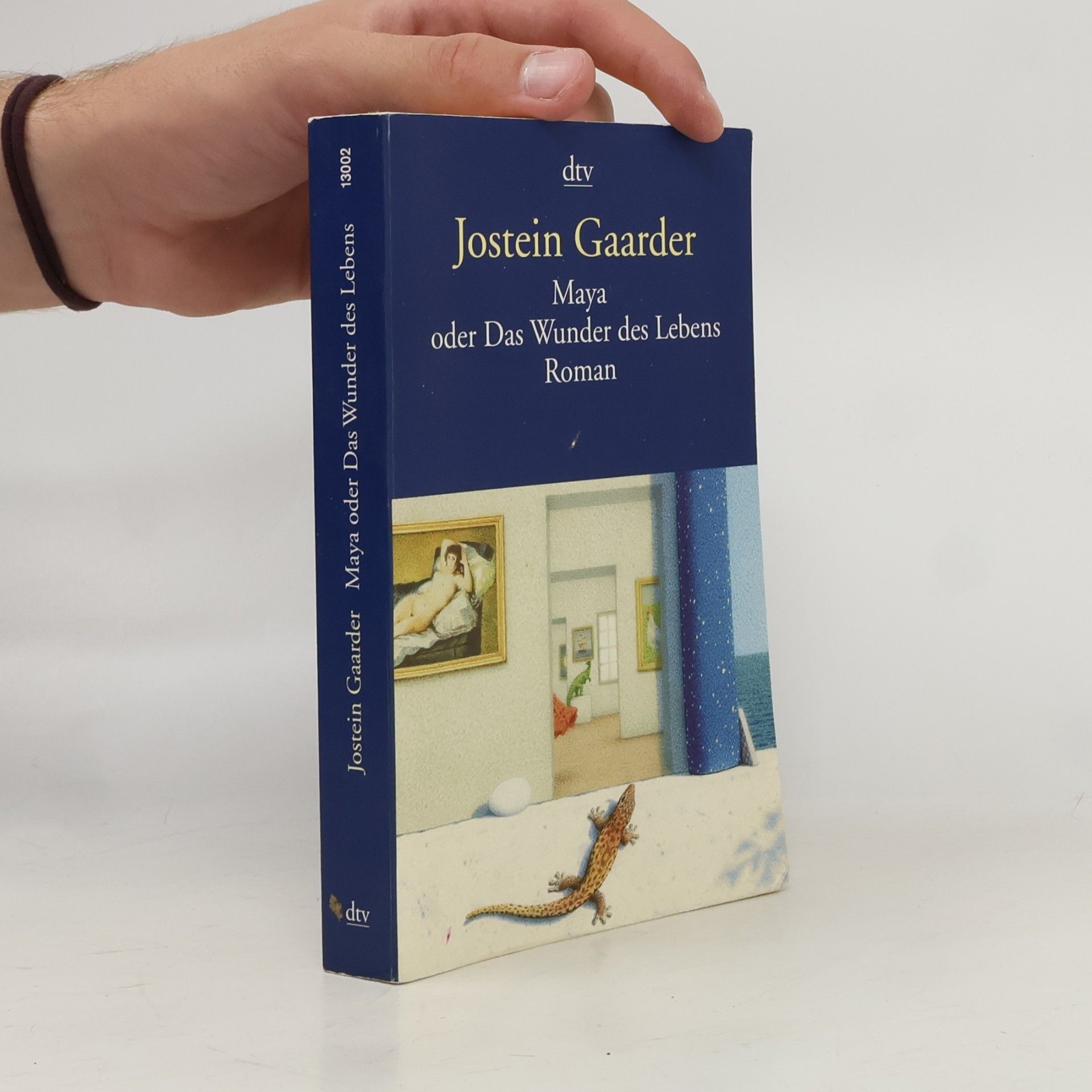 Jostein Gaarder Maya oder Das Wunder des Lebens