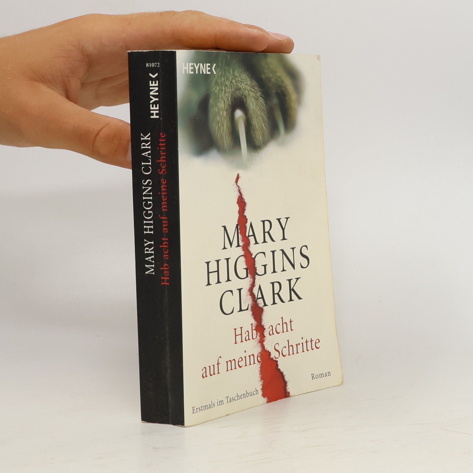 Mary Higgins Clark Hab acht auf meine Schritte