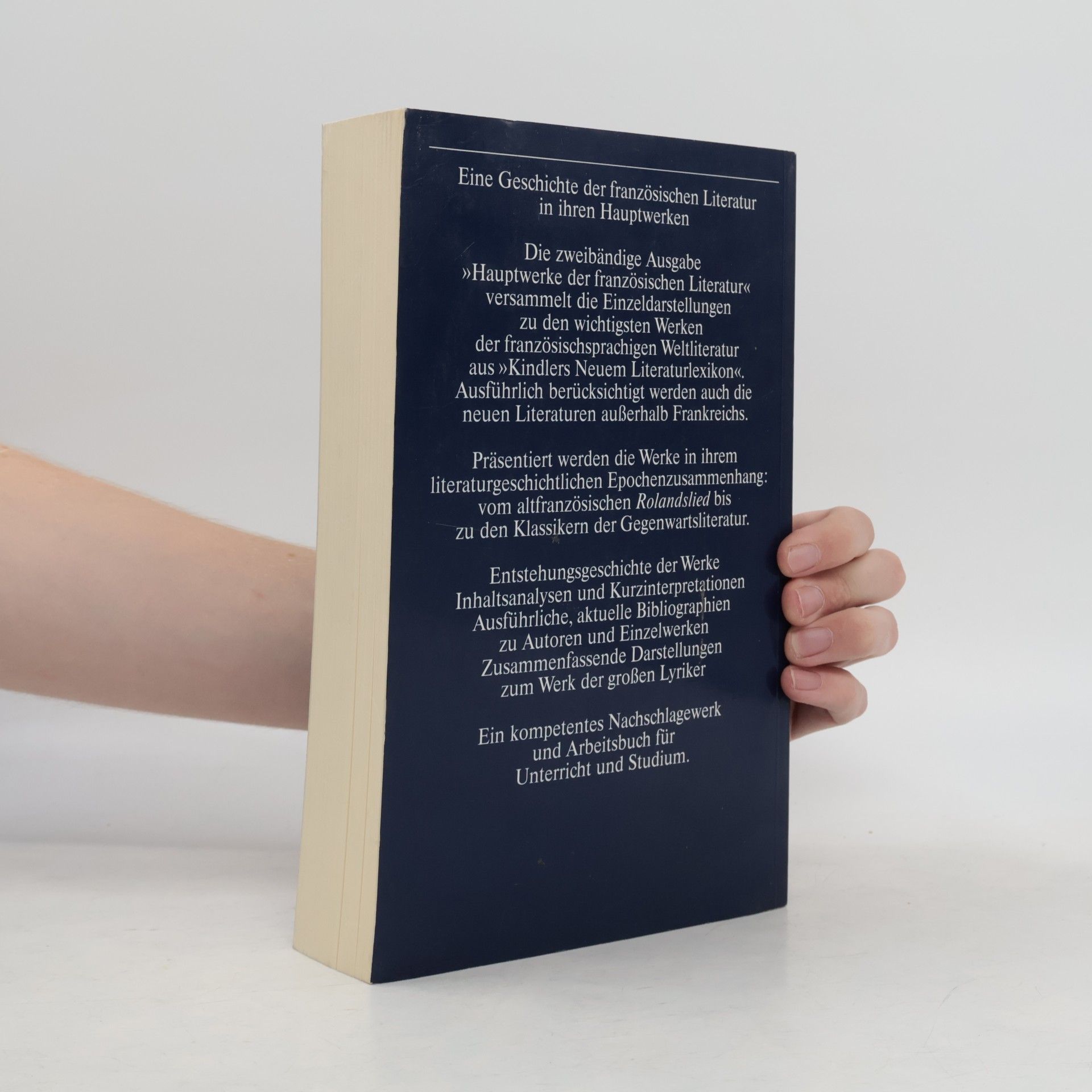 Autorenkollektiv Hauptwerke der französischen Literatur