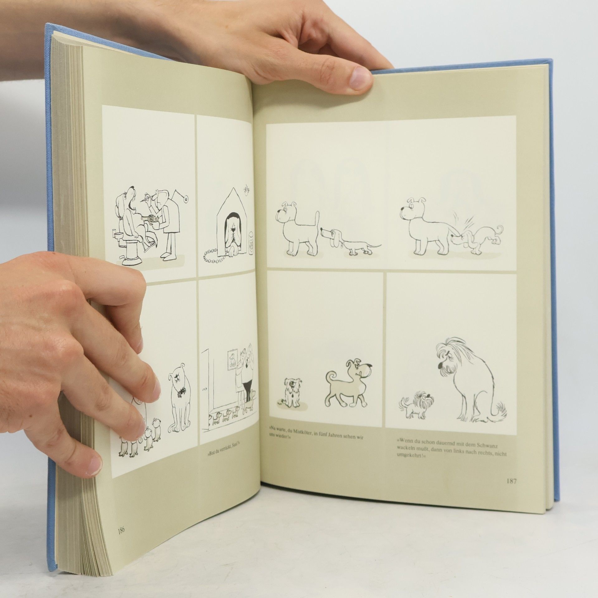 Kolektiv autorů Das dicke Schrader-Buch