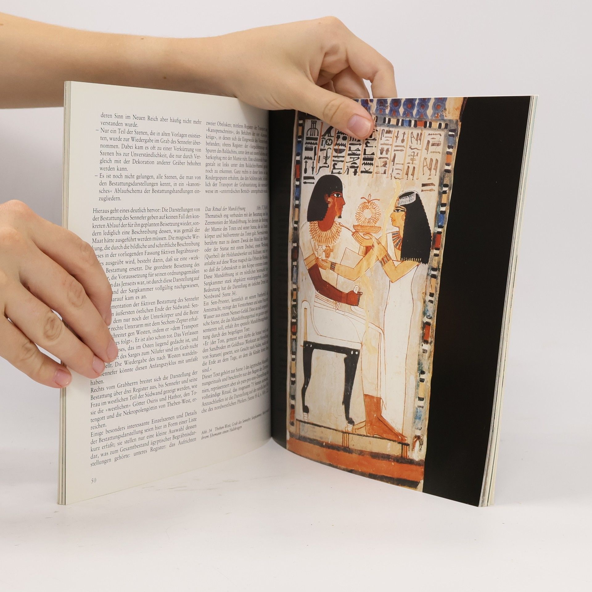 Wilfried Seipel Ägypten. Götter, Gräber und die Kunst