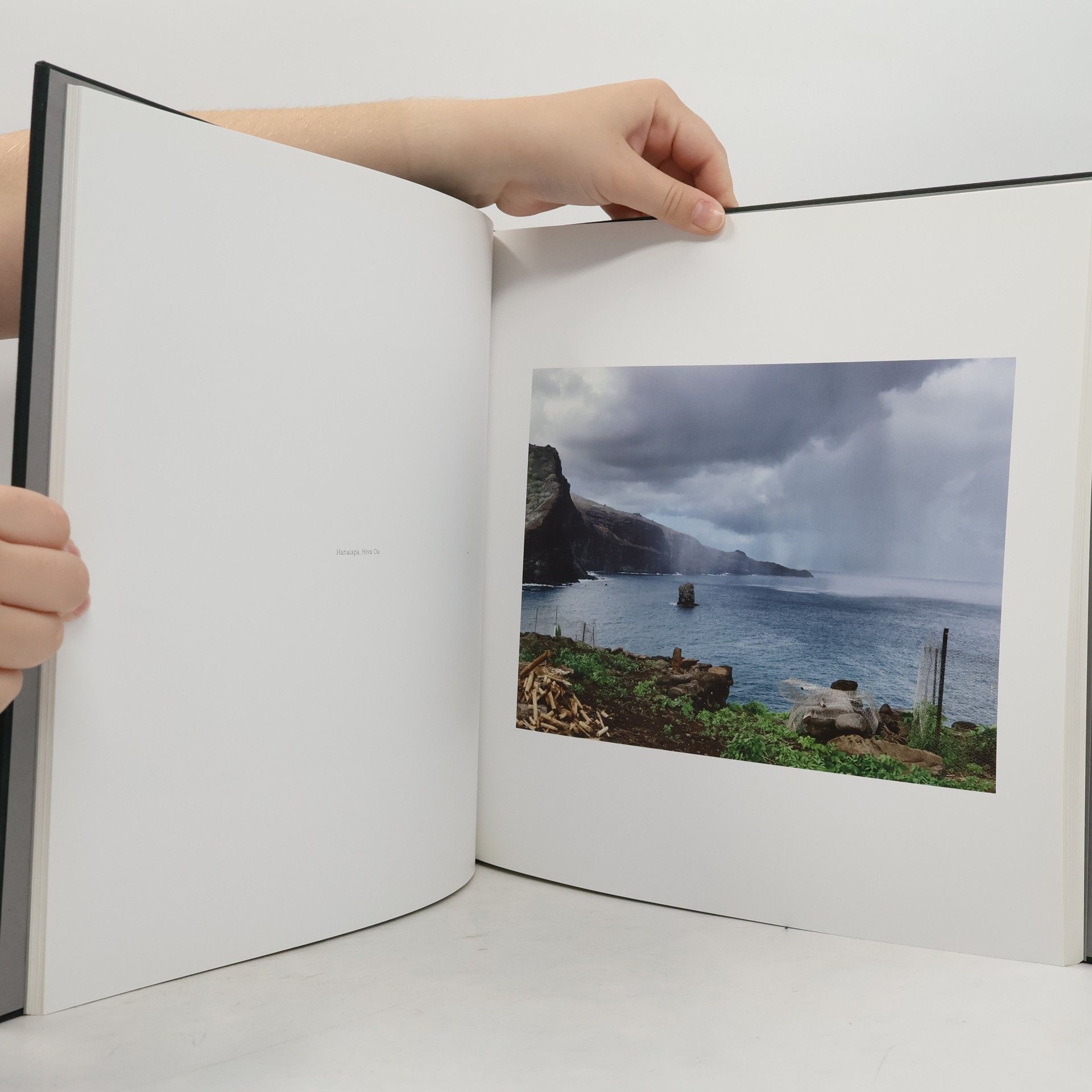 Guy Tillim Guy Tillim, Second Nature