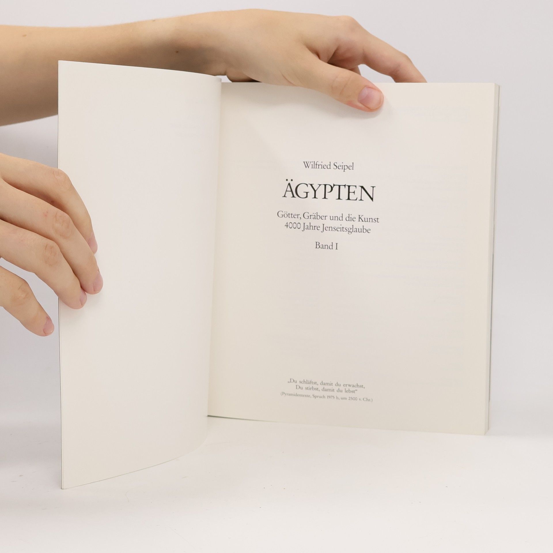 Wilfried Seipel Ägypten. Götter, Gräber und die Kunst
