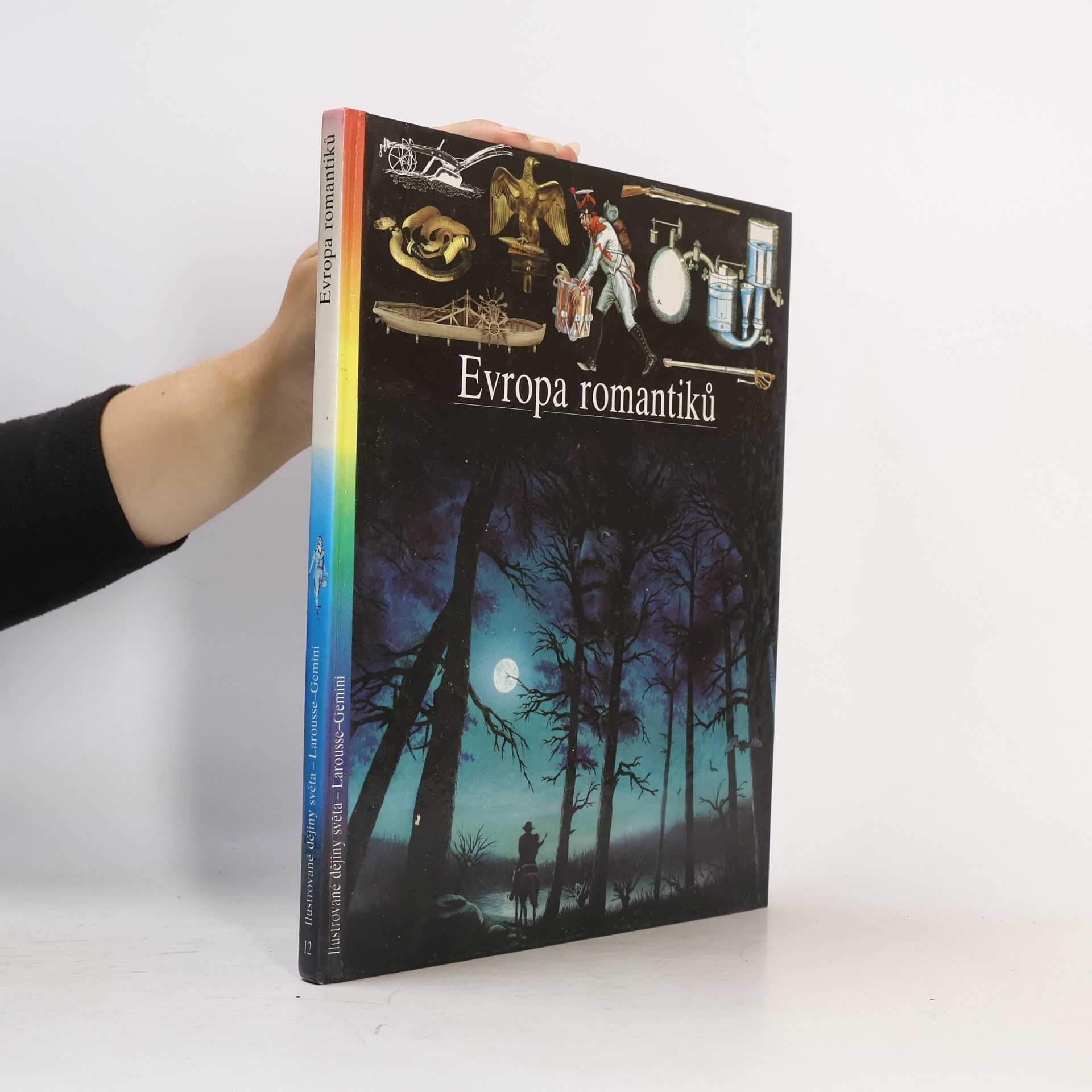 Kolektiv autorů Evropa romantiků