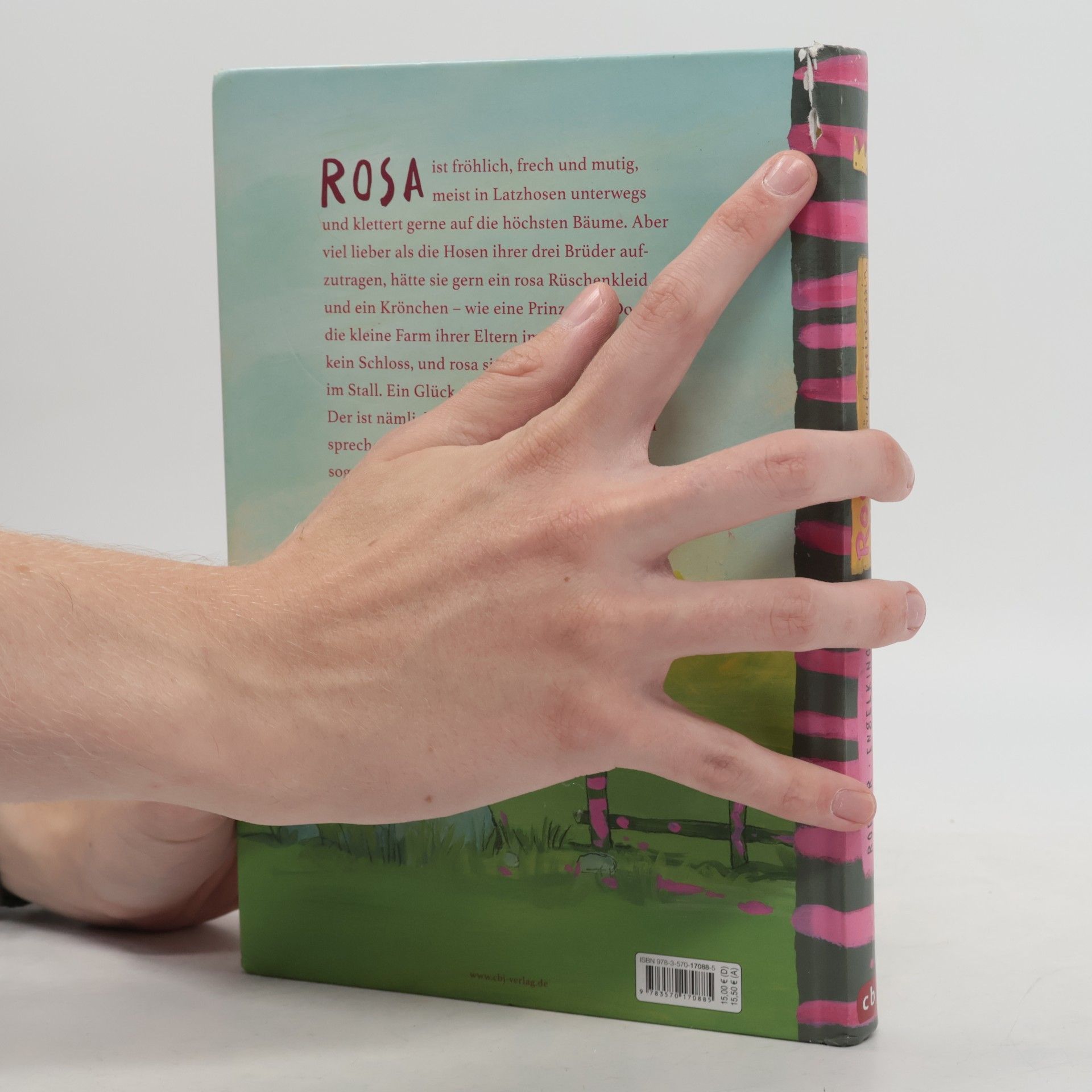 Annette Roeder Rosa Räuberprinzessin