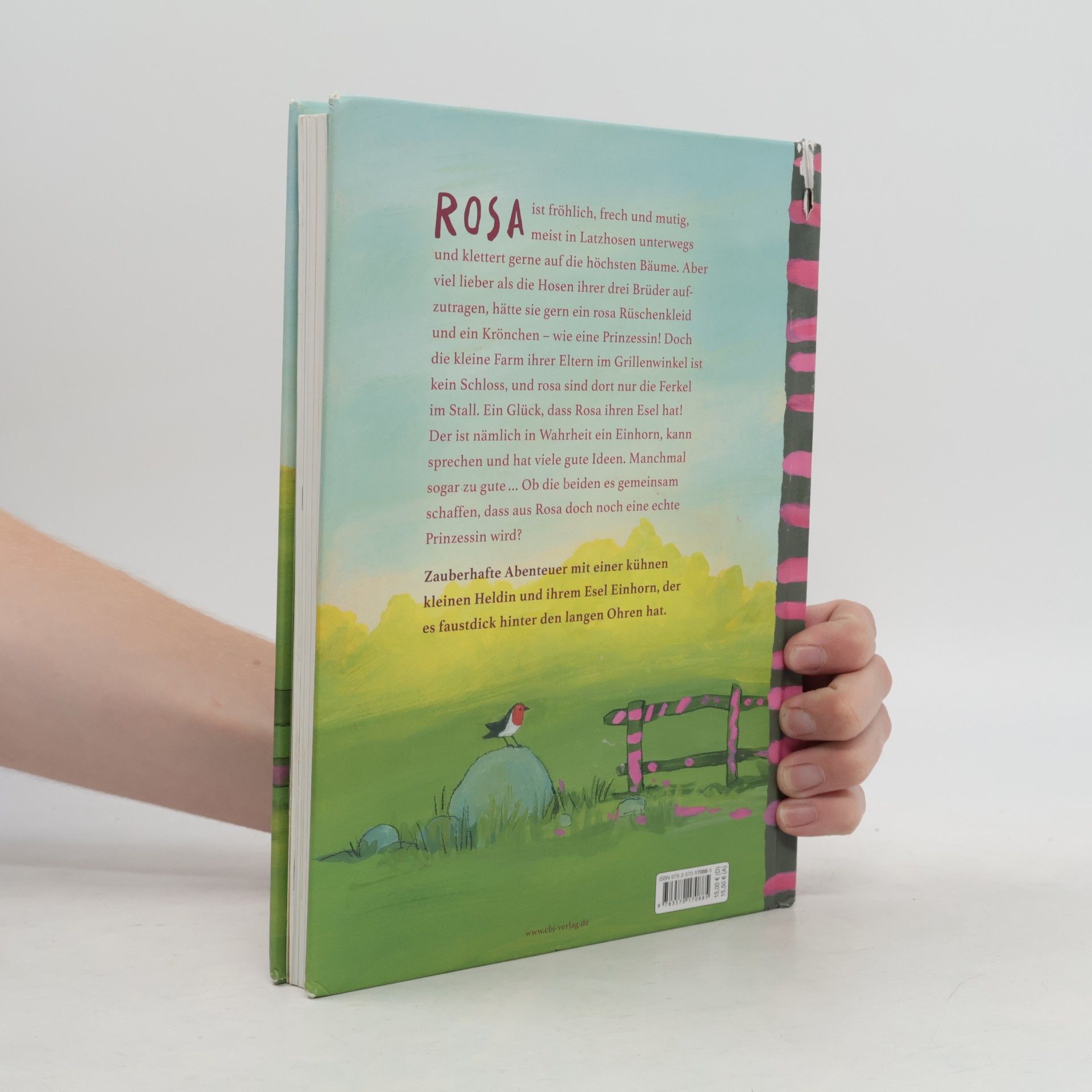 Annette Roeder Rosa Räuberprinzessin