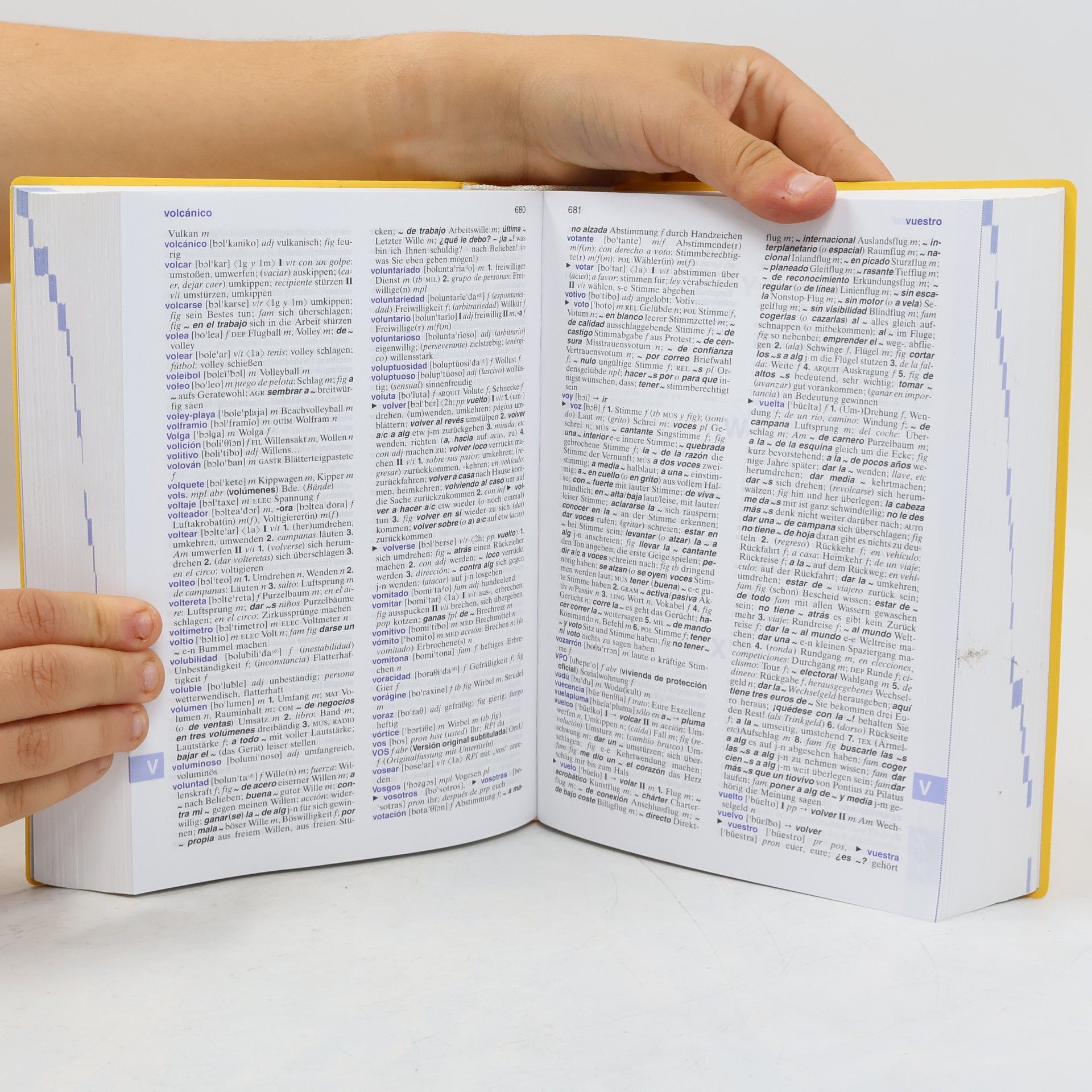María Luz Cámara Hernando Langenscheidt, Großes Taschenwörterbuch Spanisch
