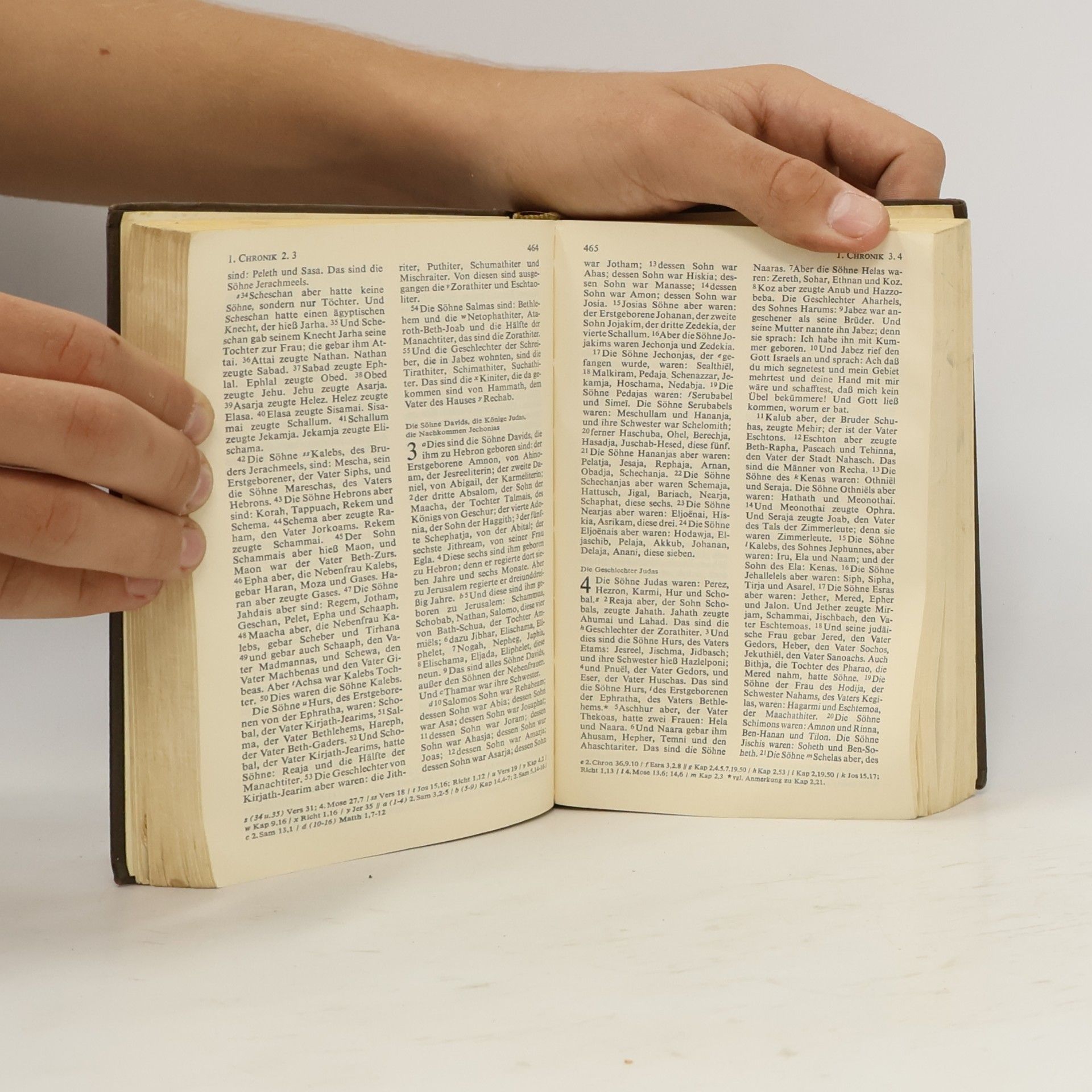 Martin Luther Die Bibel oder die ganze Heilige Schrift das Alten und Neuen Testaments