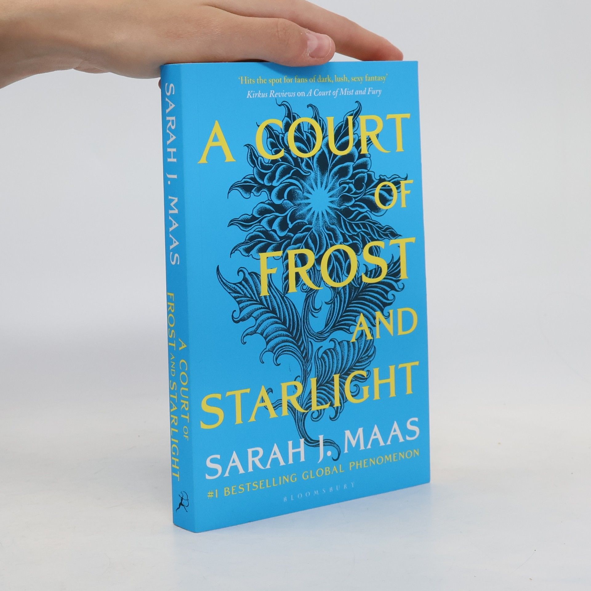 Sarah J. Maasová A Court of Frost and Starlight