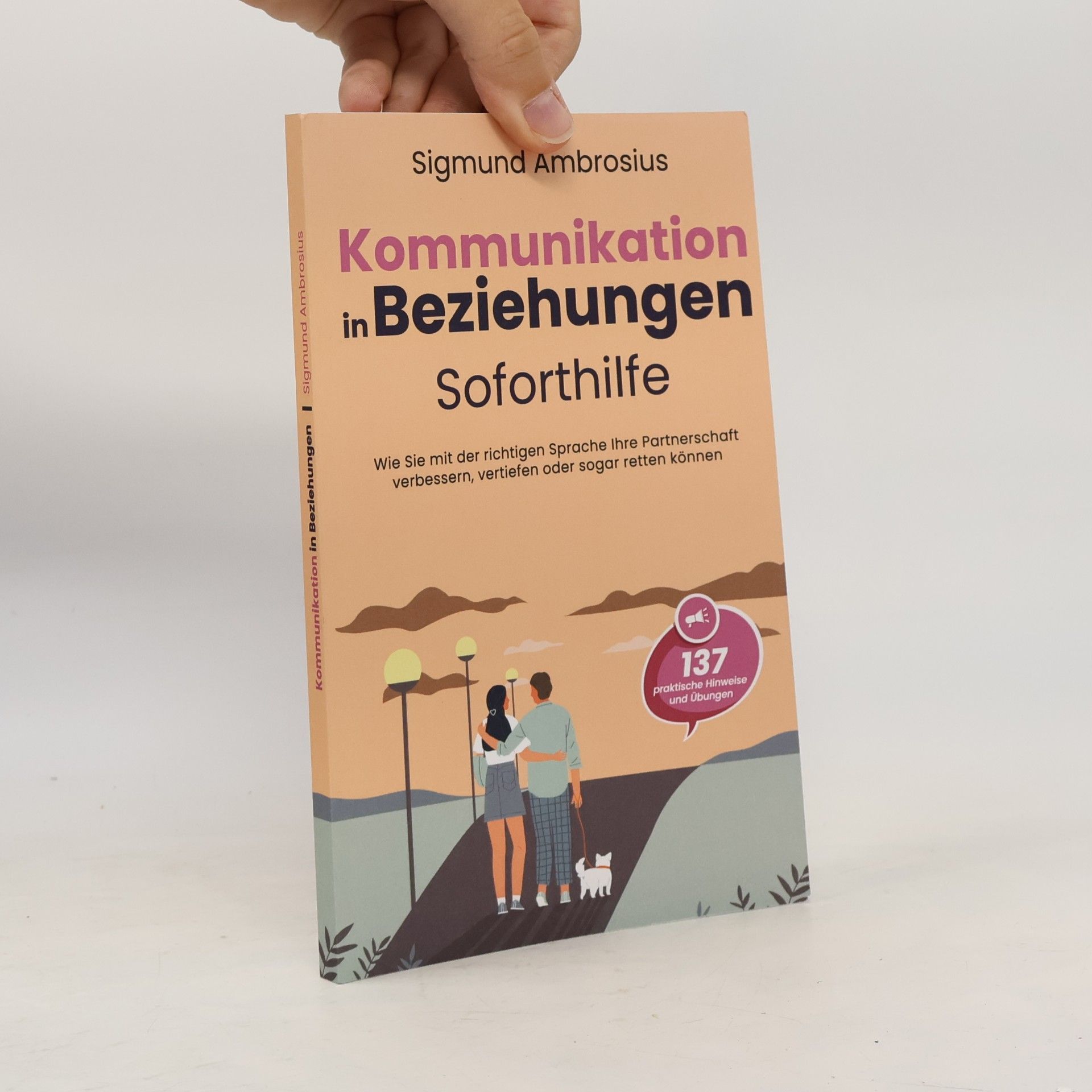 Sigmund Ambrosius Kommunikation in Beziehungen. Soforthilfe