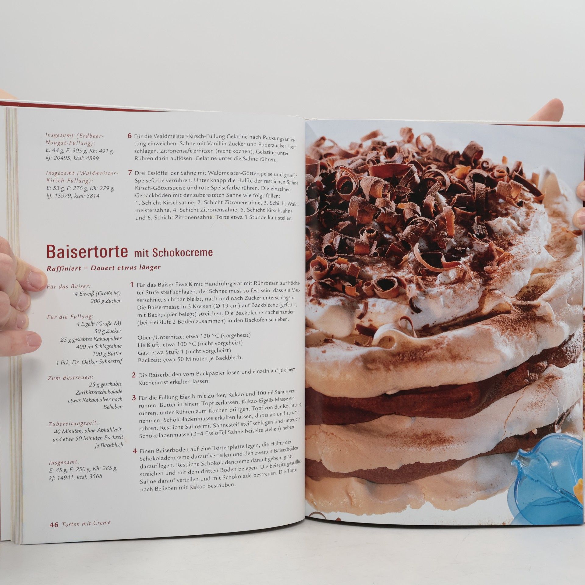 Carola Reich Dr. Oetker Schichttorten