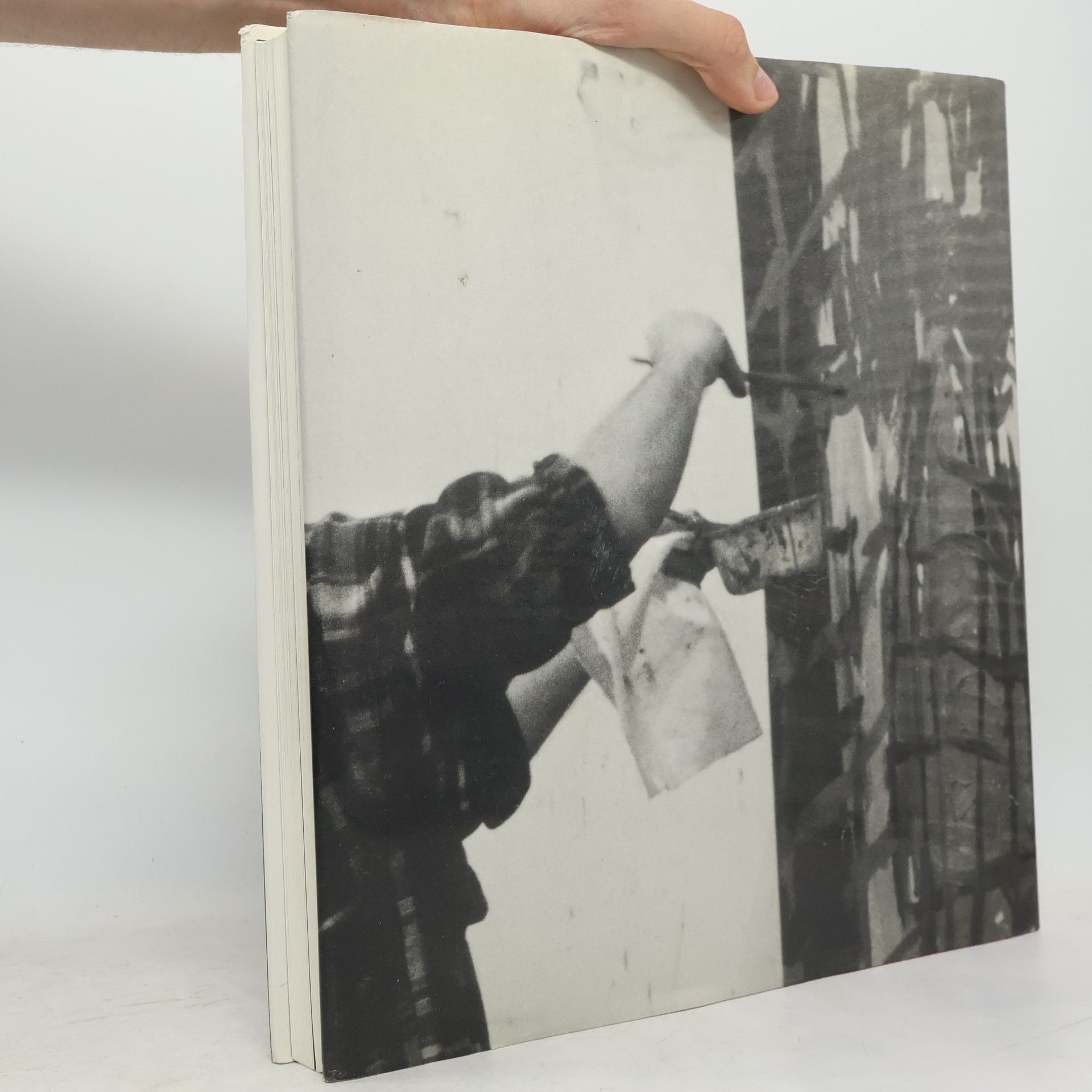 Edward Quinn Georg Baselitz. Eine fotografische Studie von Edward Quinn.