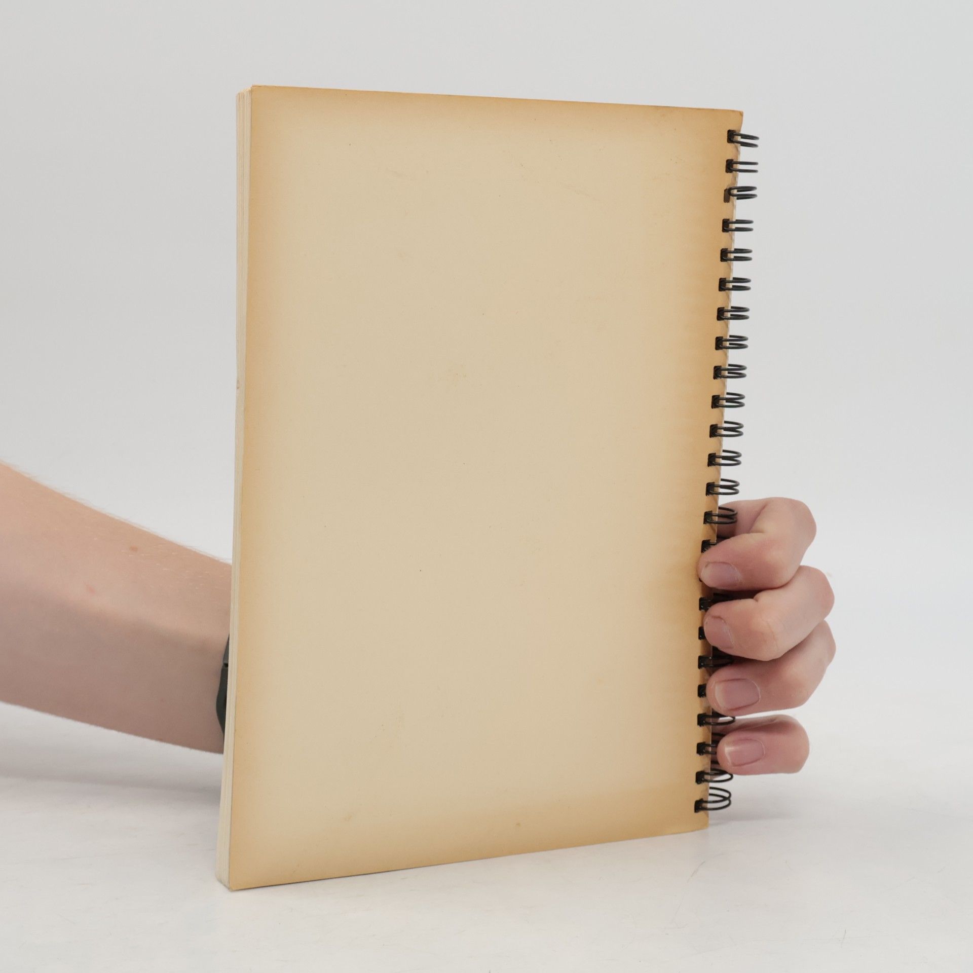 Various authors Badische Leibgerichte. Teil 2