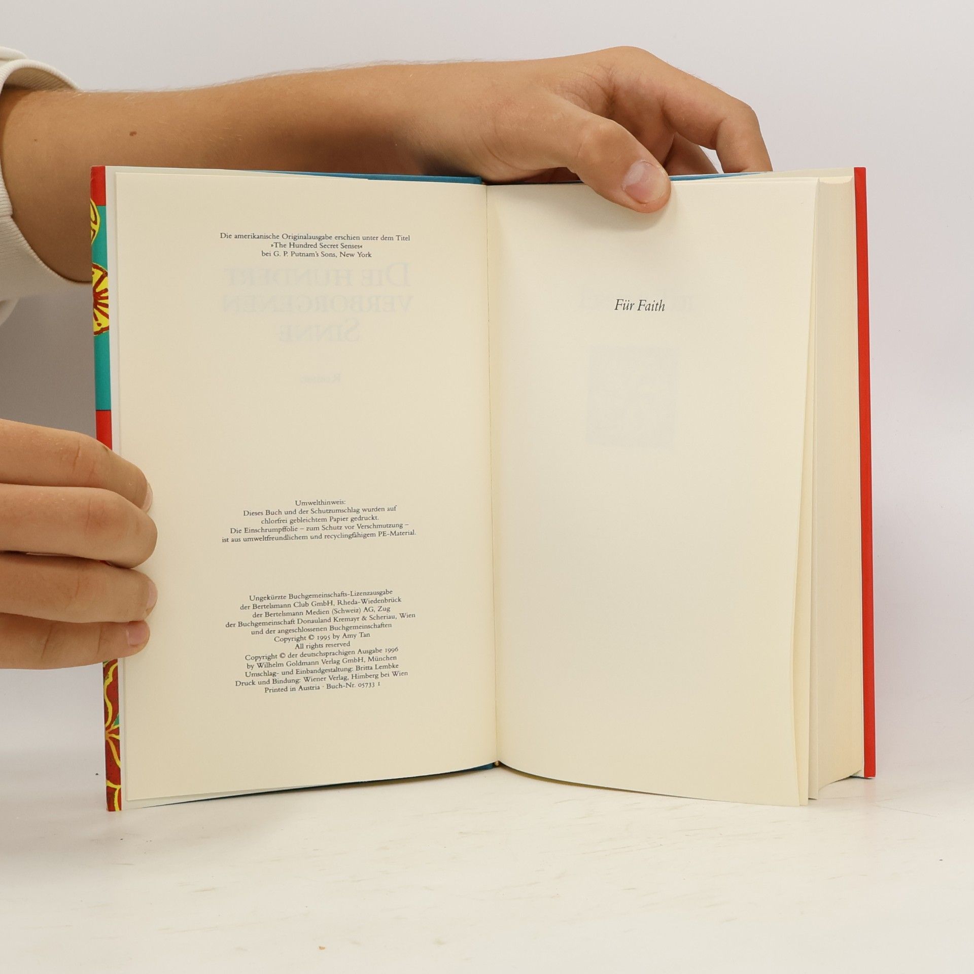 Amy Tan Die hundert verborgenen Sinne