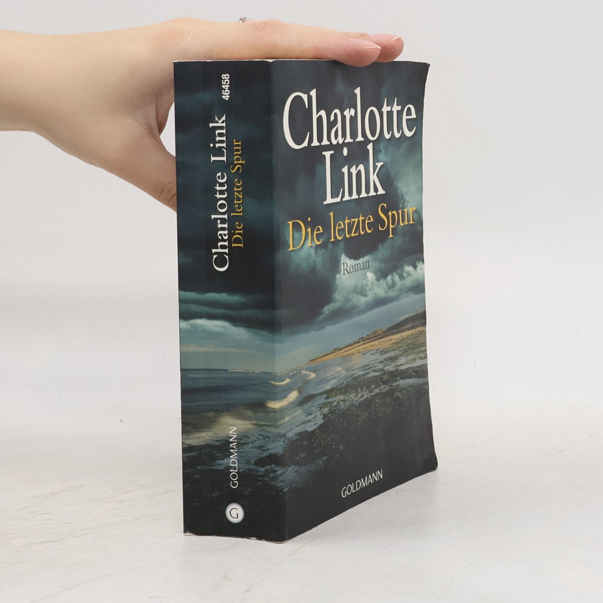 Charlotte Link Die letzte Spur