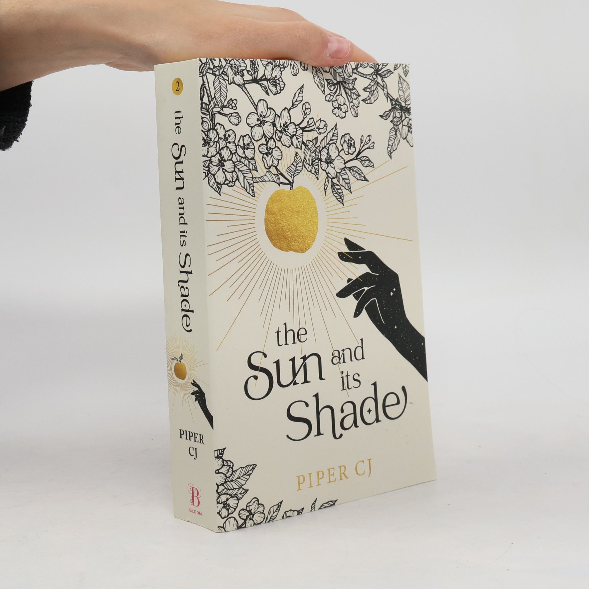 Don Piper The Sun and Its Shade