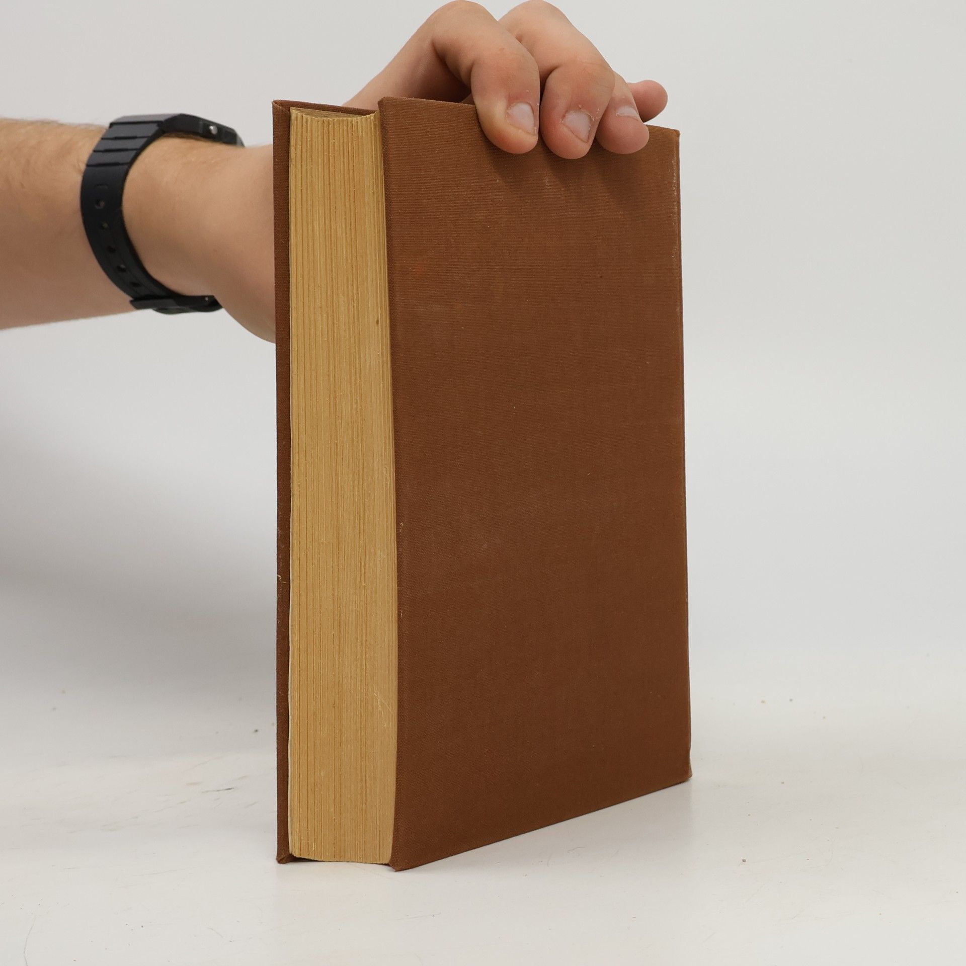 Rudolf G. Binding Tod und Liebe sind Gross