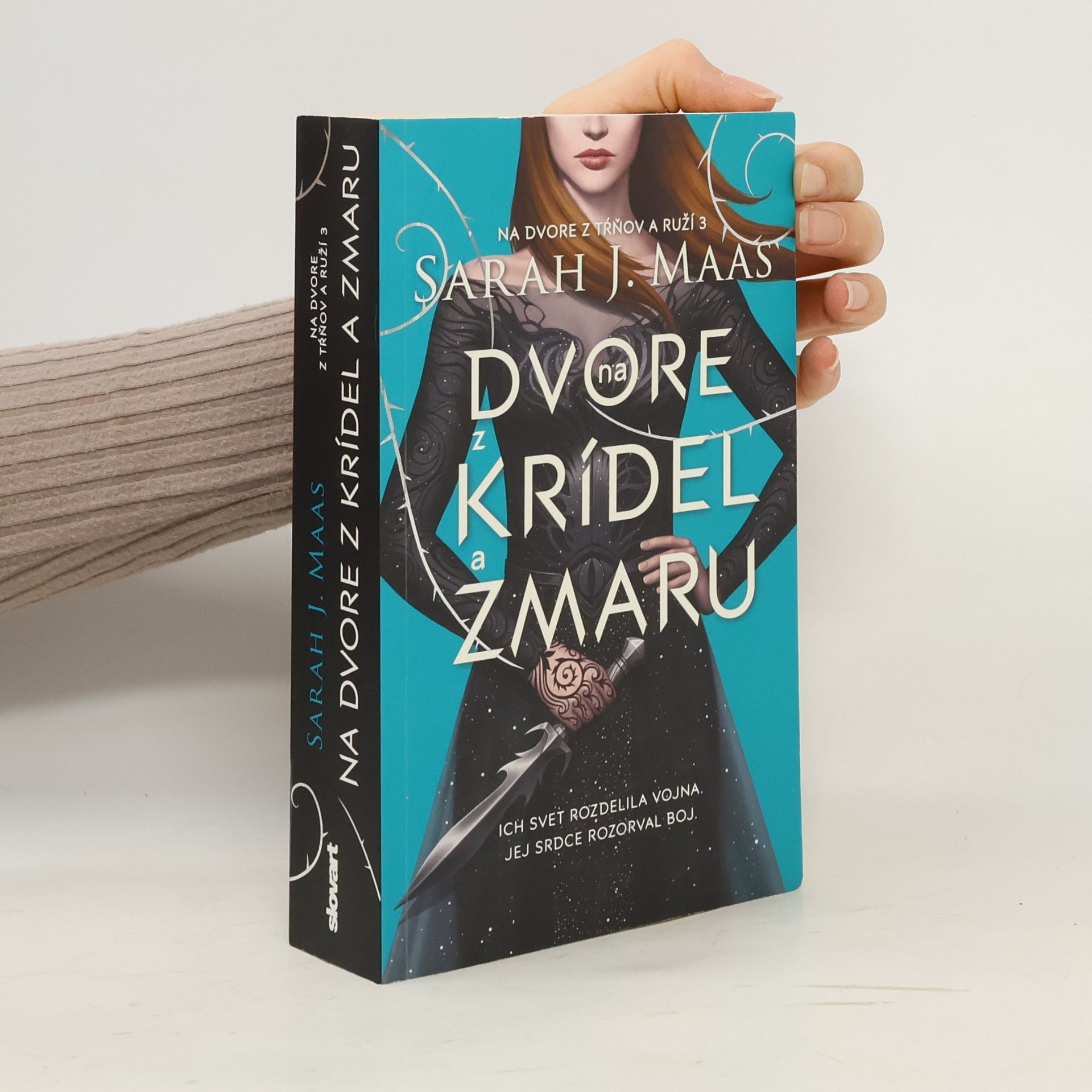 Sarah J. Maas Na dvore z krídel a zmaru
