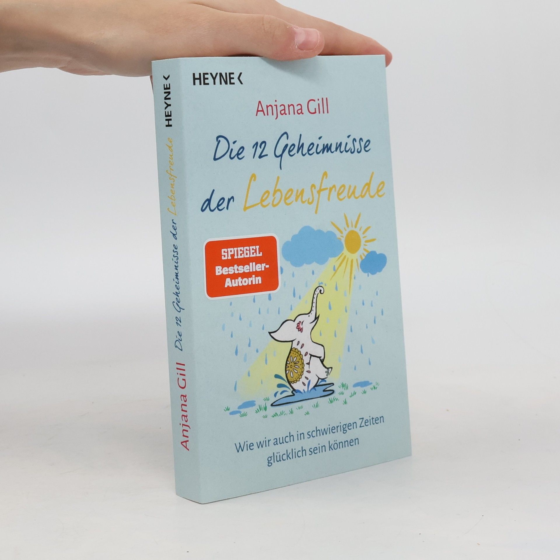 Die 12 Geheimnisse der Lebensfreude