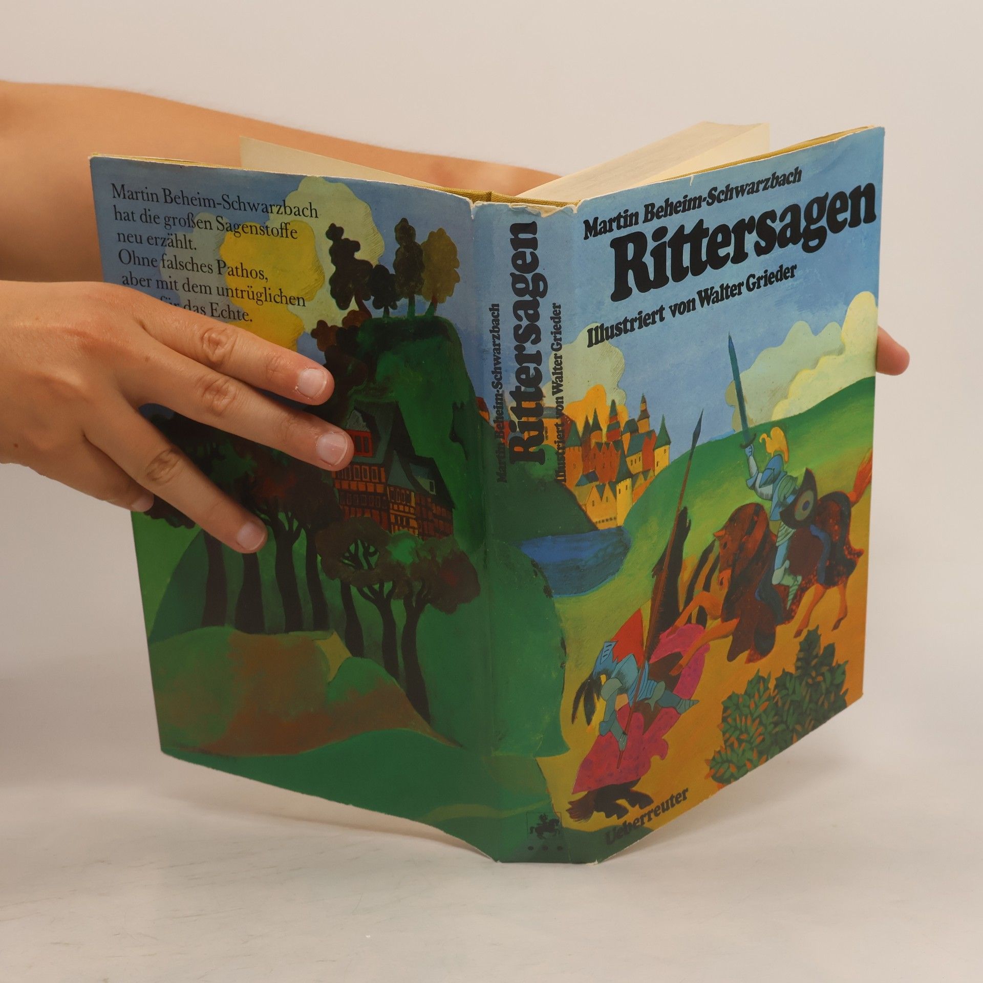 Martin Beheim-Schwarzbach Rittersagen