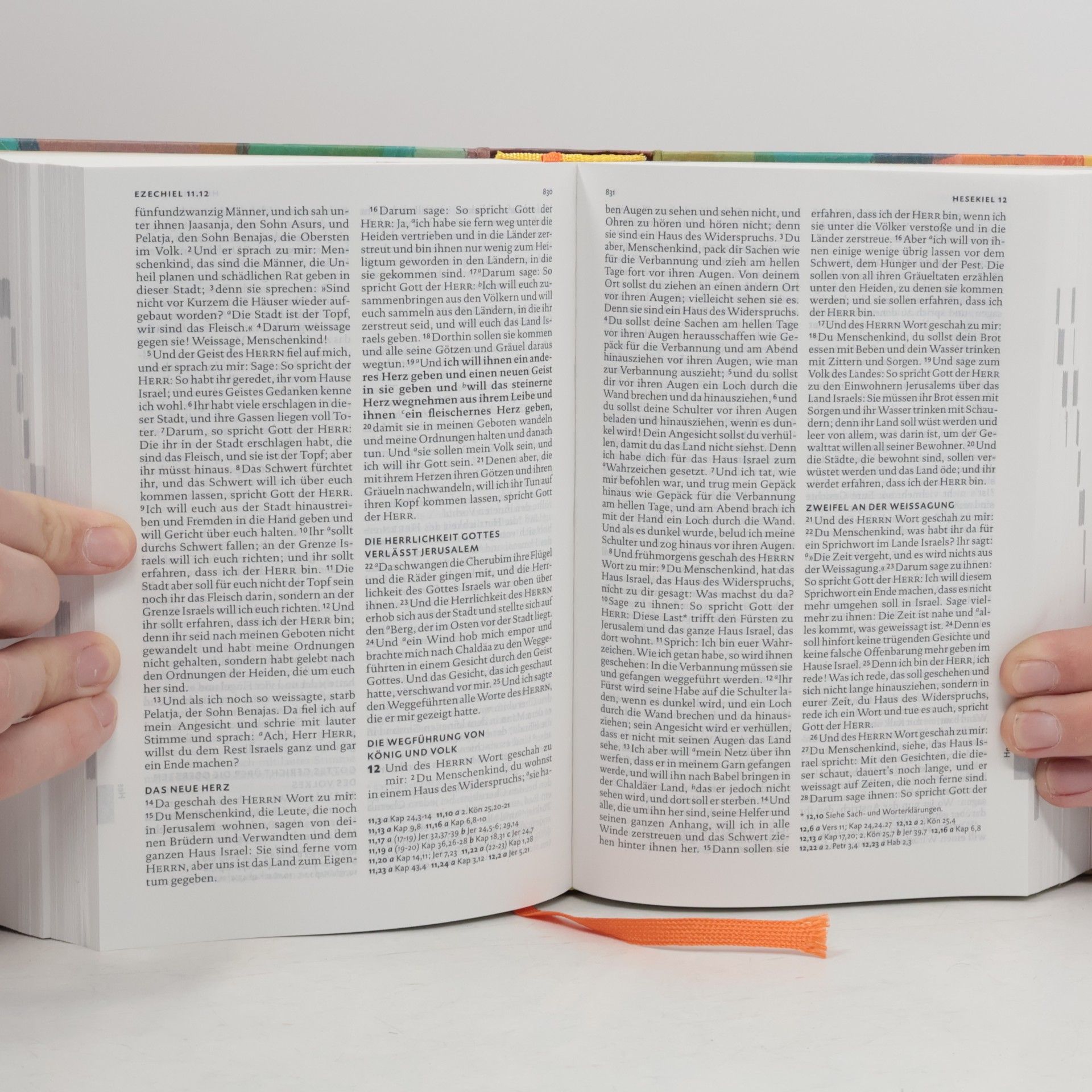Martin Luther Lutherbibel für Dich