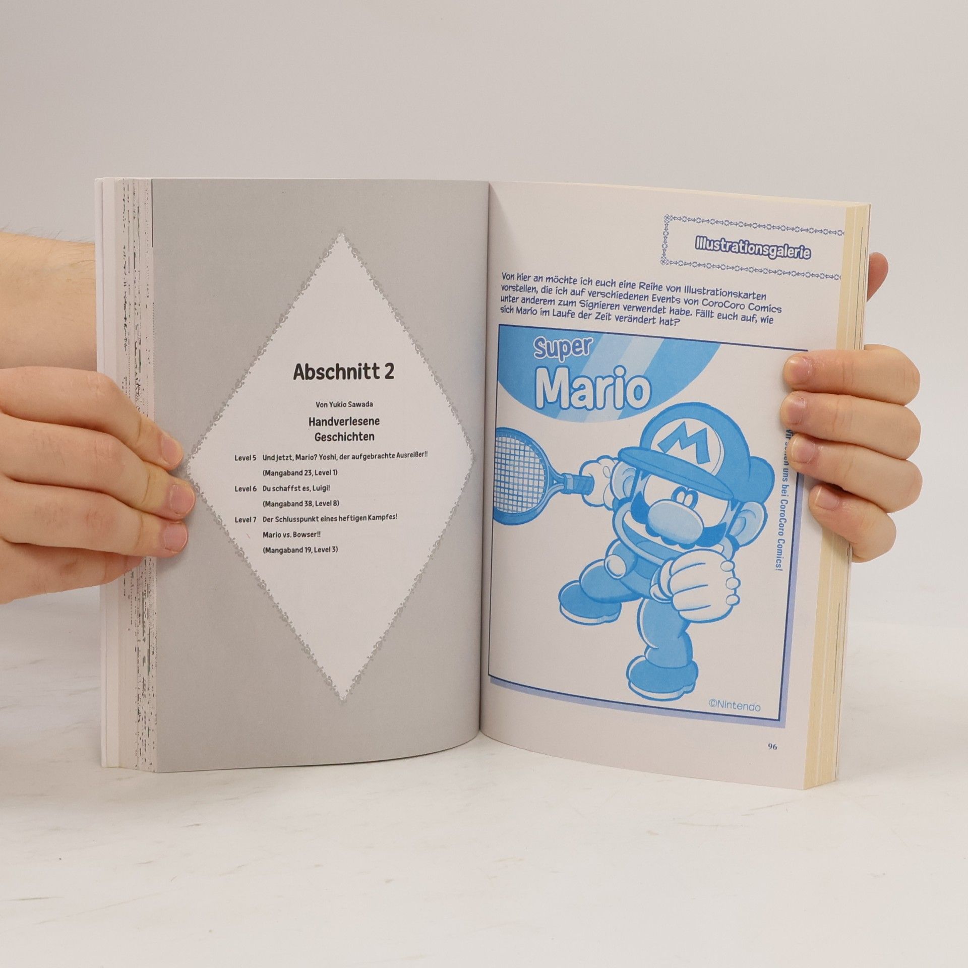 Yukio Sawada Super Mario - Seine lustigsten Abenteuer