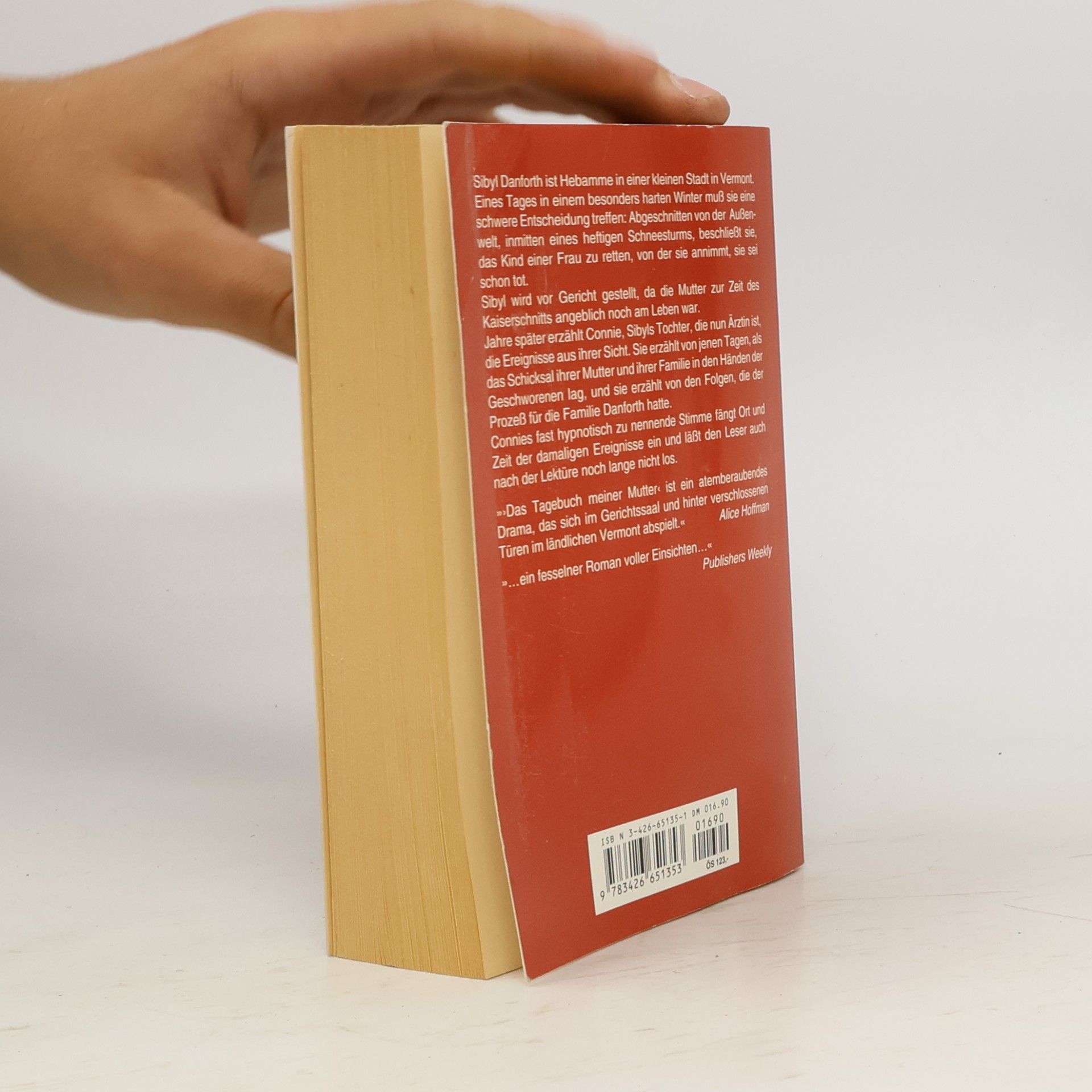 Chris Bohjalian Das Tagebuch meiner Mutter
