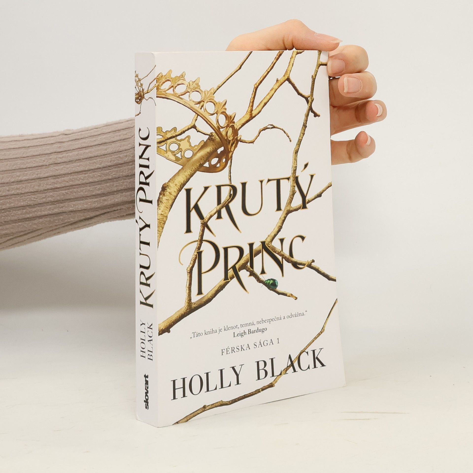 Holly Black Krutý princ