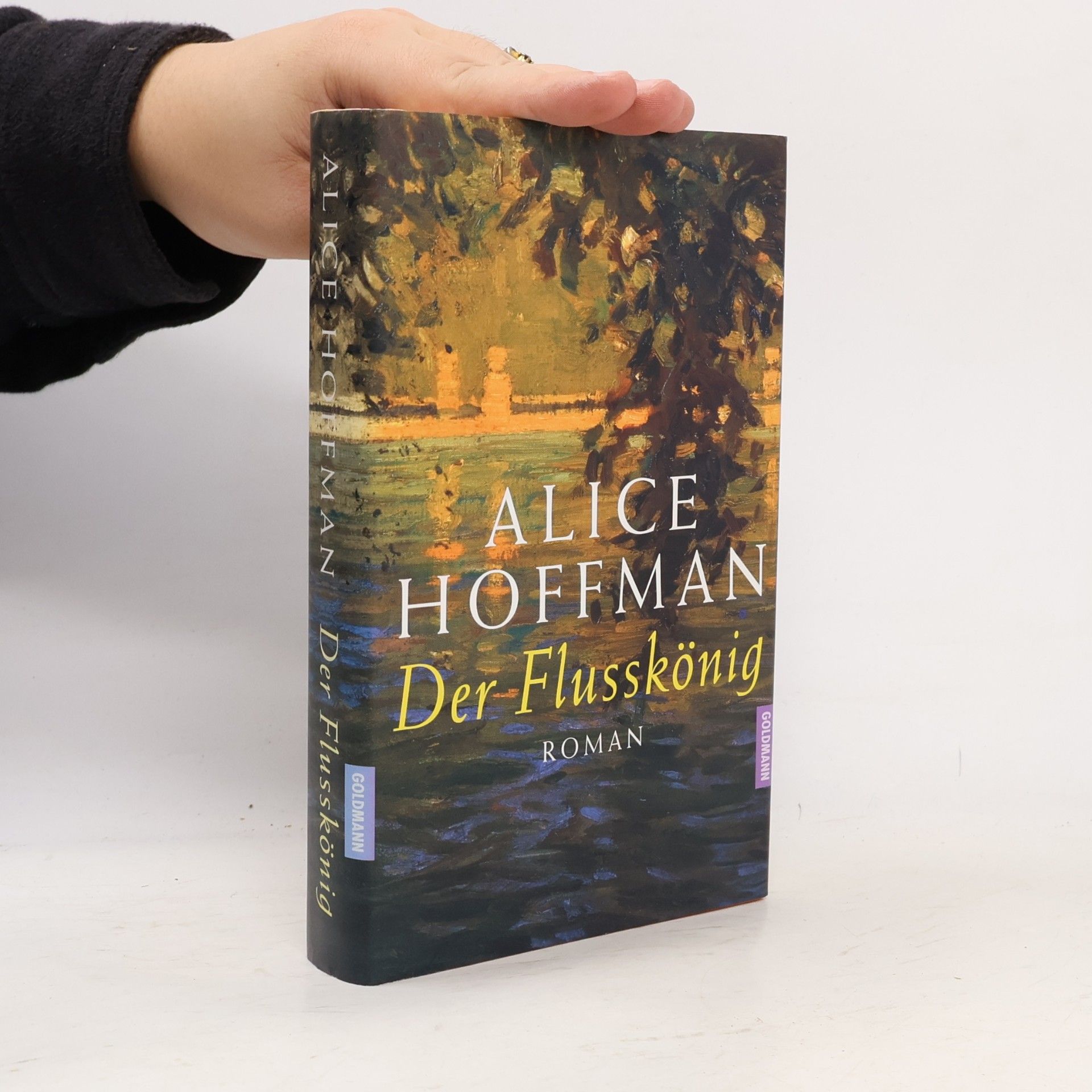 Alice Hoffman Der Flusskönig