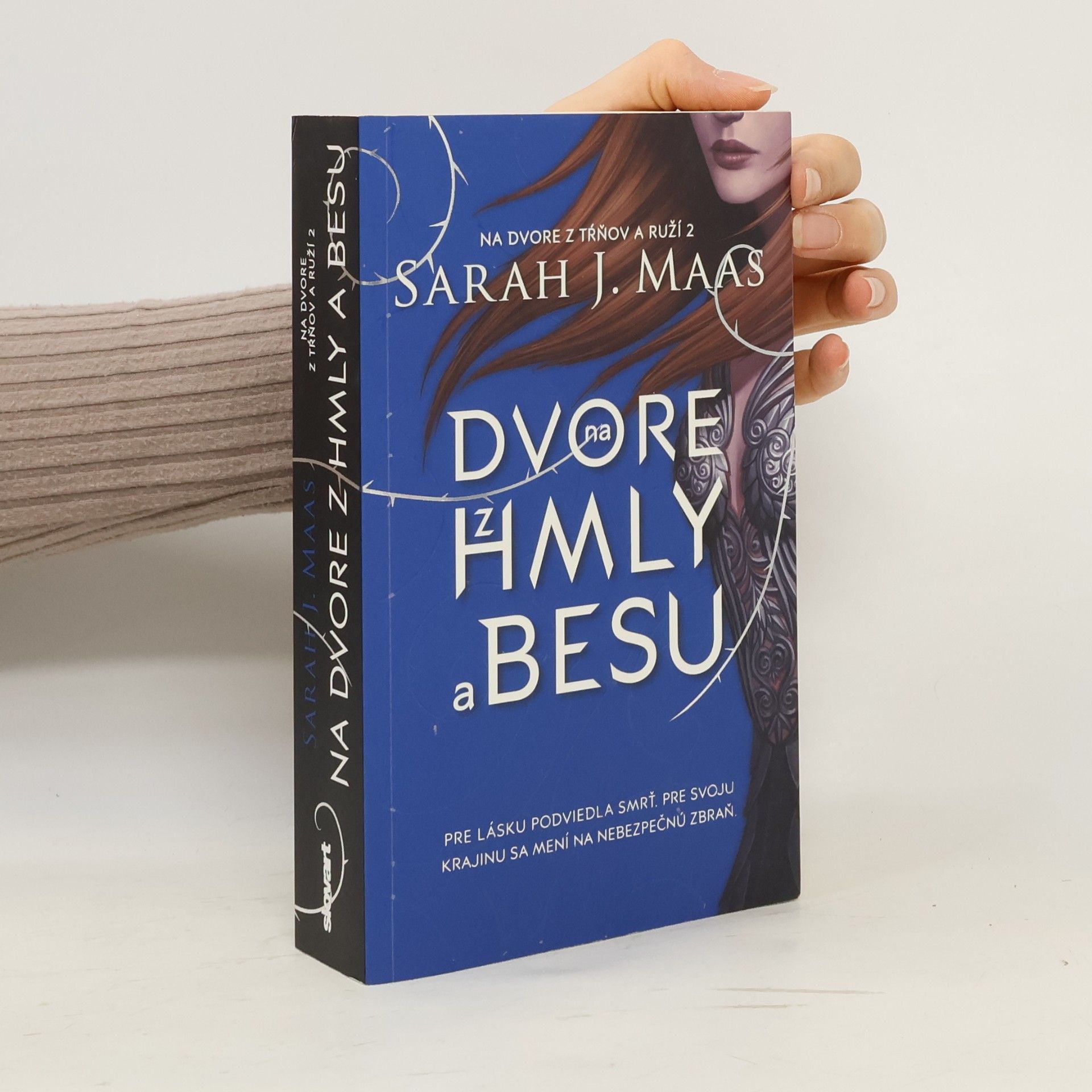Sarah J. Maas Na dvore z hmly a besu