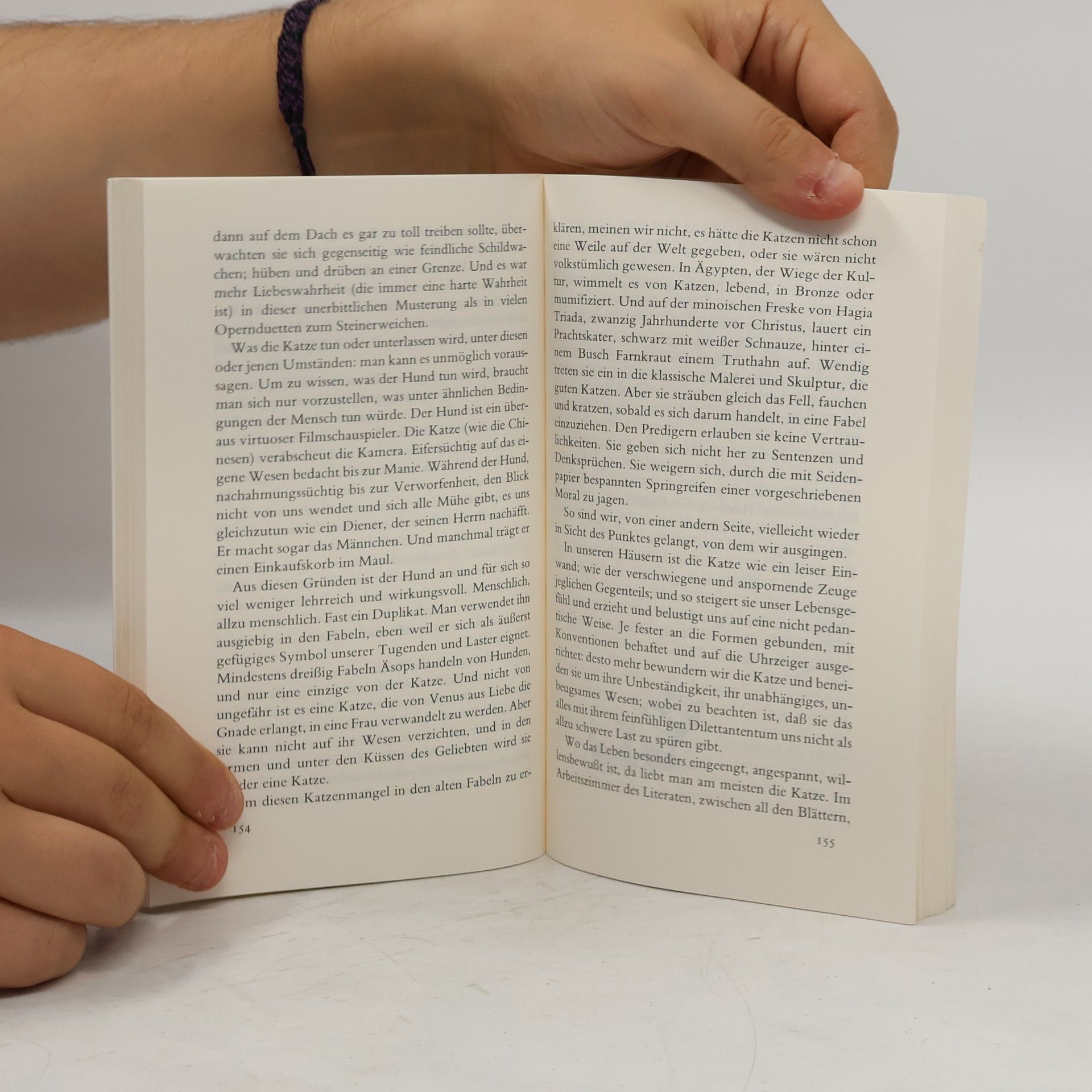 Autorenkollektiv Das Katzenbuch